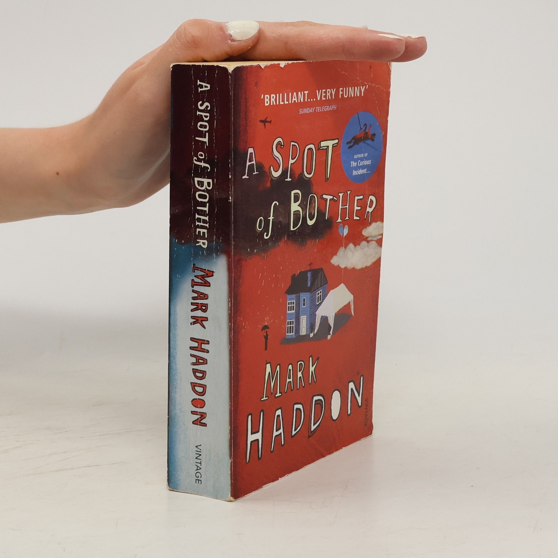 Mark Haddon A Spot of Bother