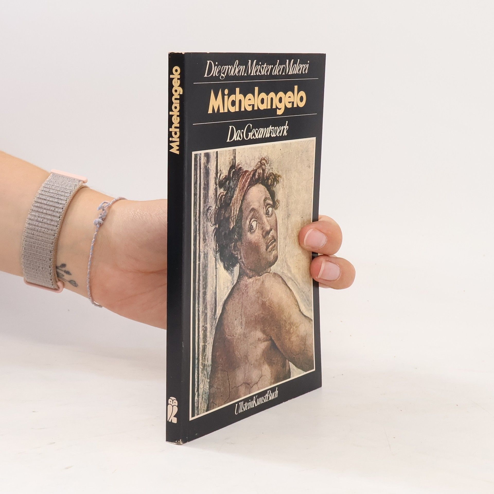 Die grossen Meister der Malerei