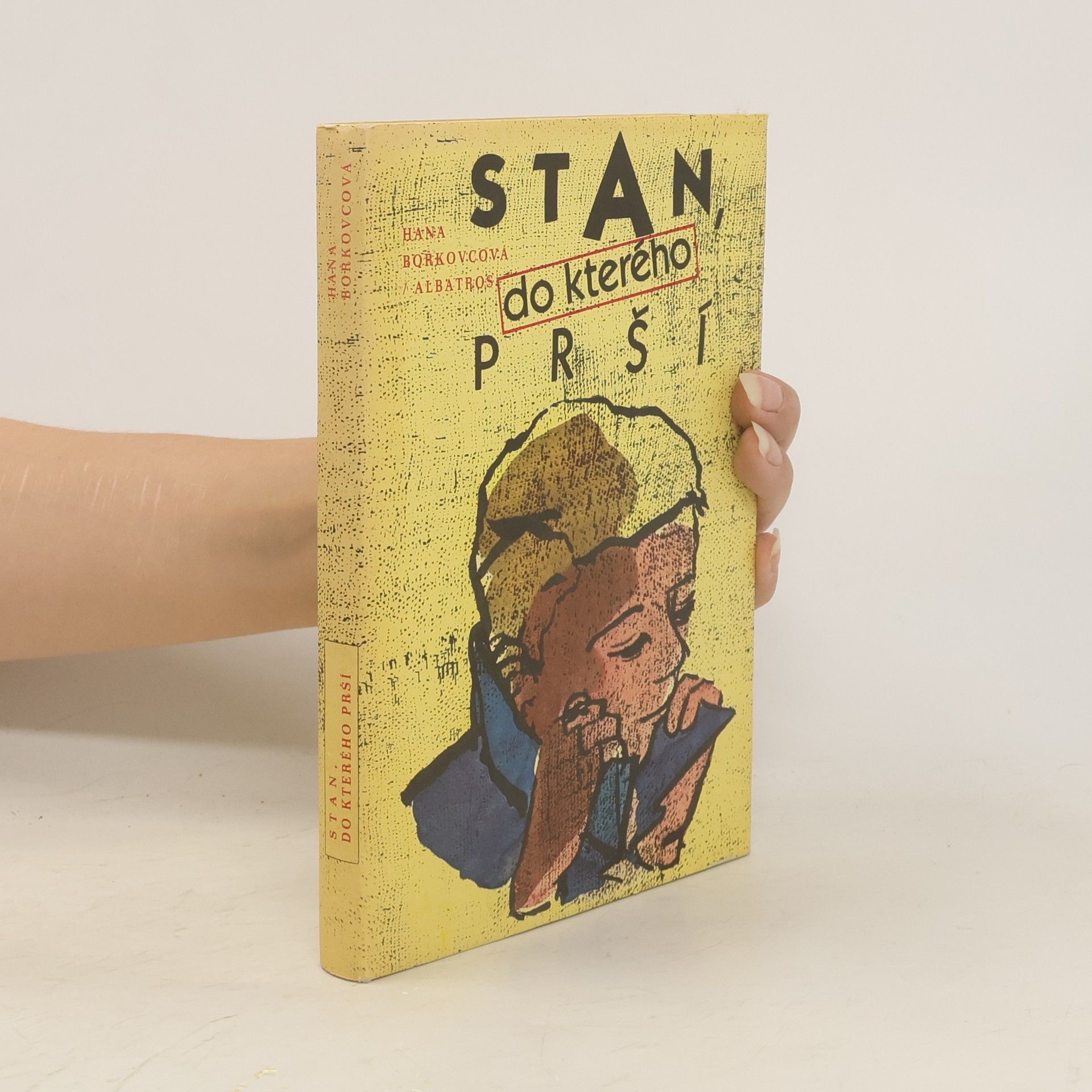 Hana Bořkovcová Stan, do kterého prší