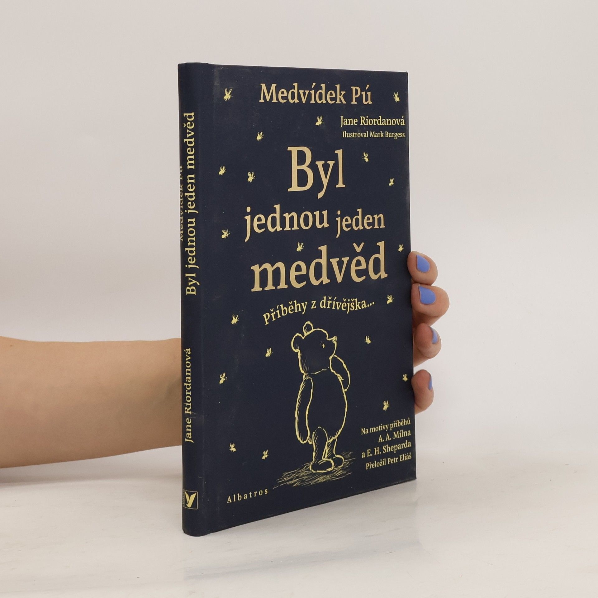 Jane Riordan Medvídek Pú. Byl jednou jeden medvěd