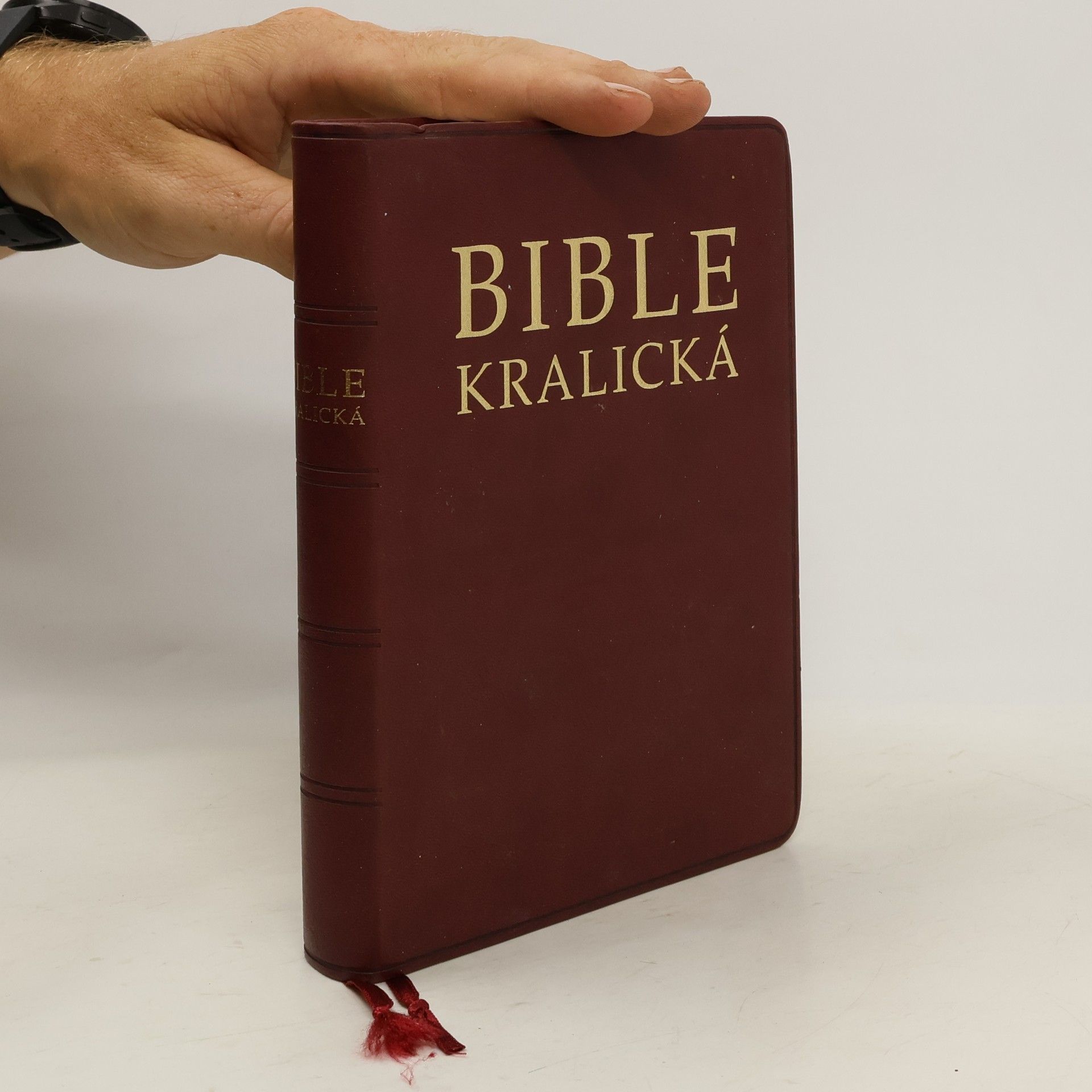 Auteurscollectief Bible Kralická. Písmo svaté Starého a Nového zákona. Podle posledního vydání z roku 1613