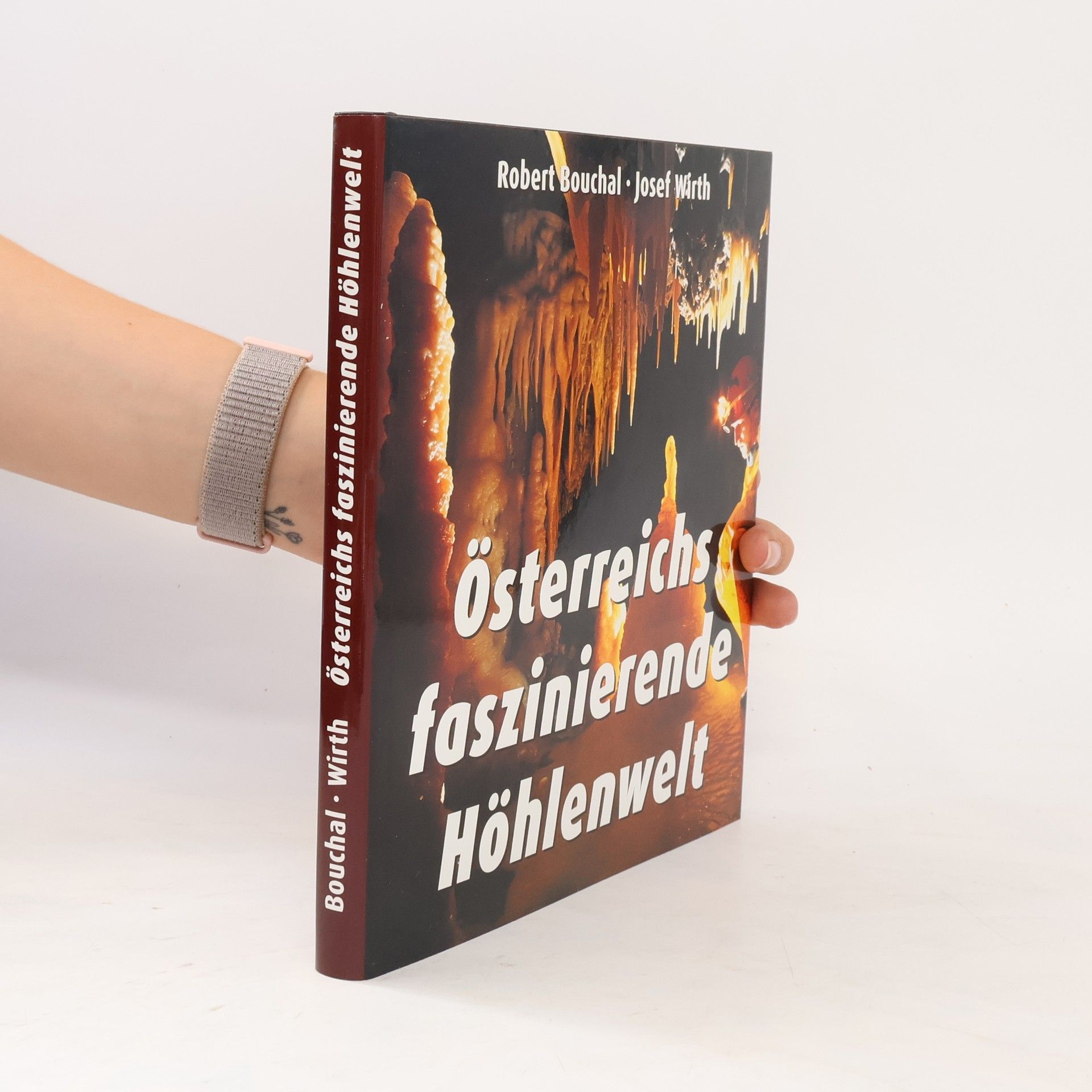 Robert Bouchal Österreichs faszinierende Höhlenwelt