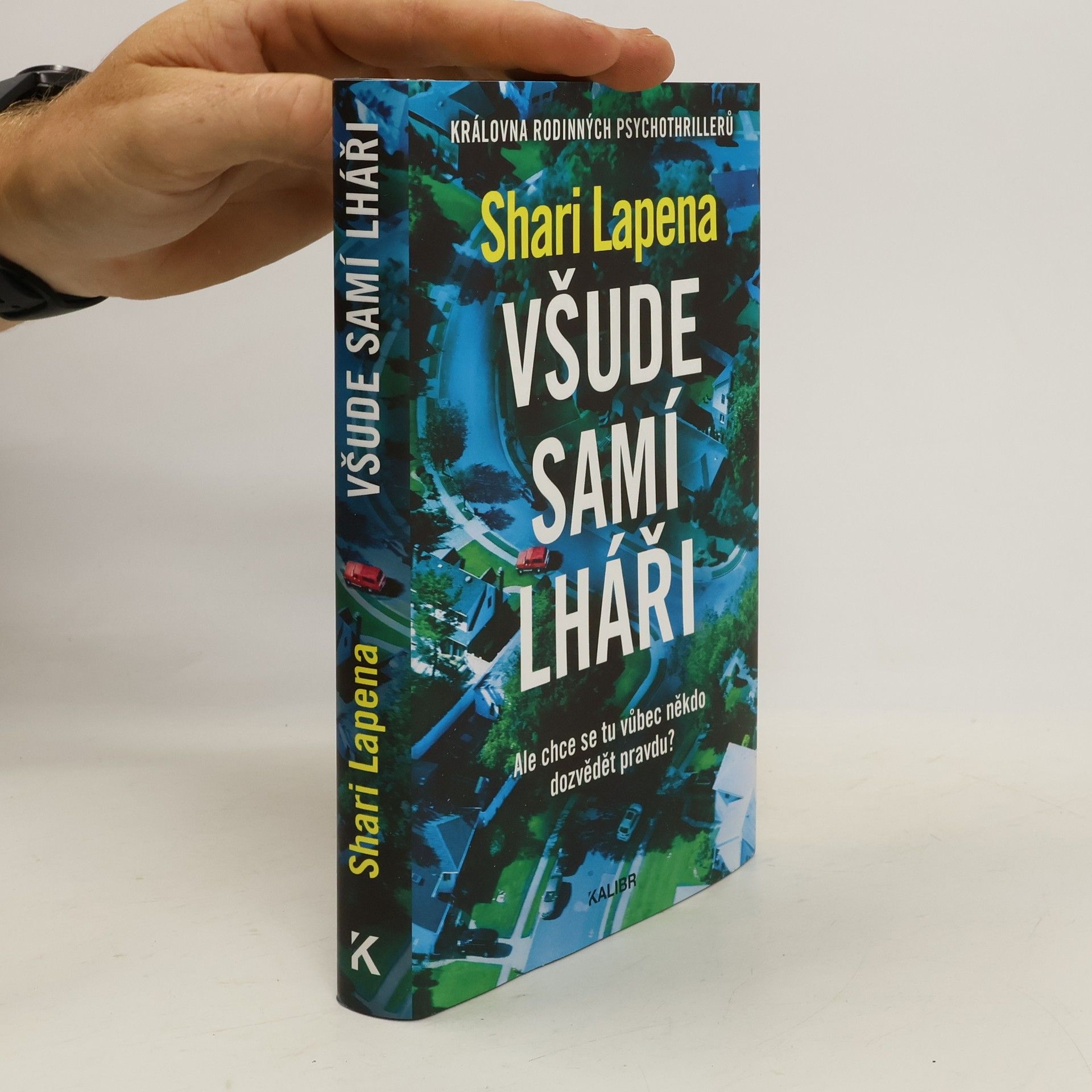 Shari Lapena Všude samí lháři