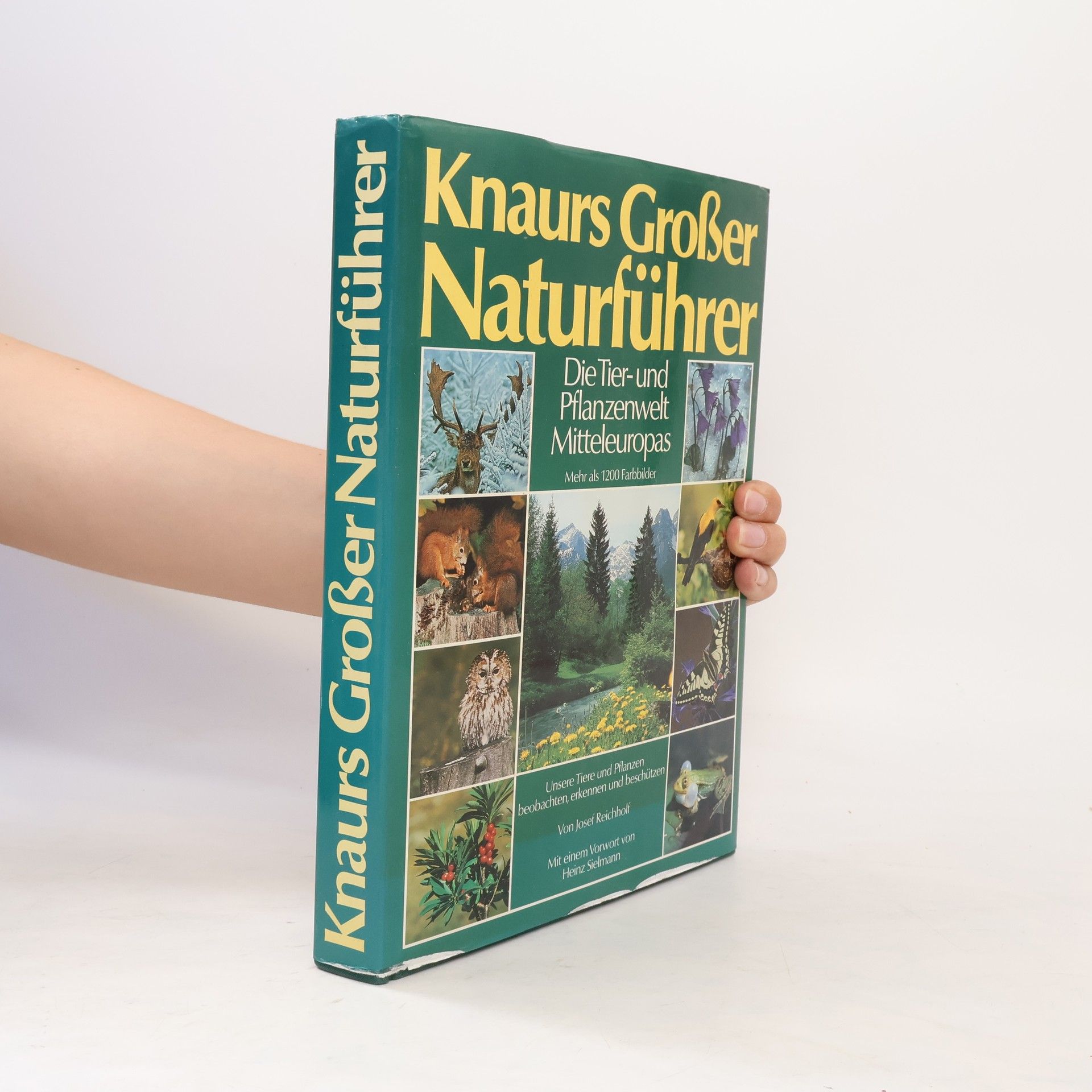 Rosina Fechter Knaurs Großer Naturführer. Die Tier- und Pflanzenwelt Mitteleuropas