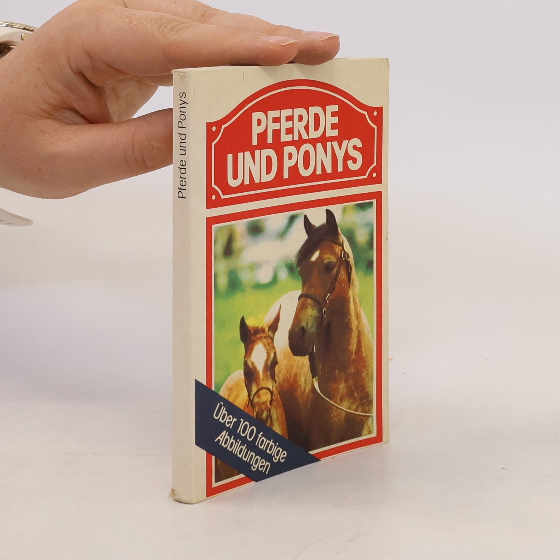 Autorenkollektiv Pferde und Ponys