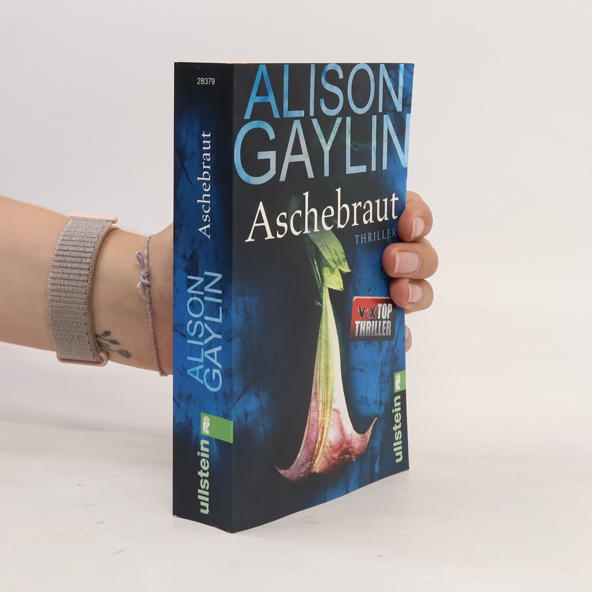Alison Gaylin Aschebraut