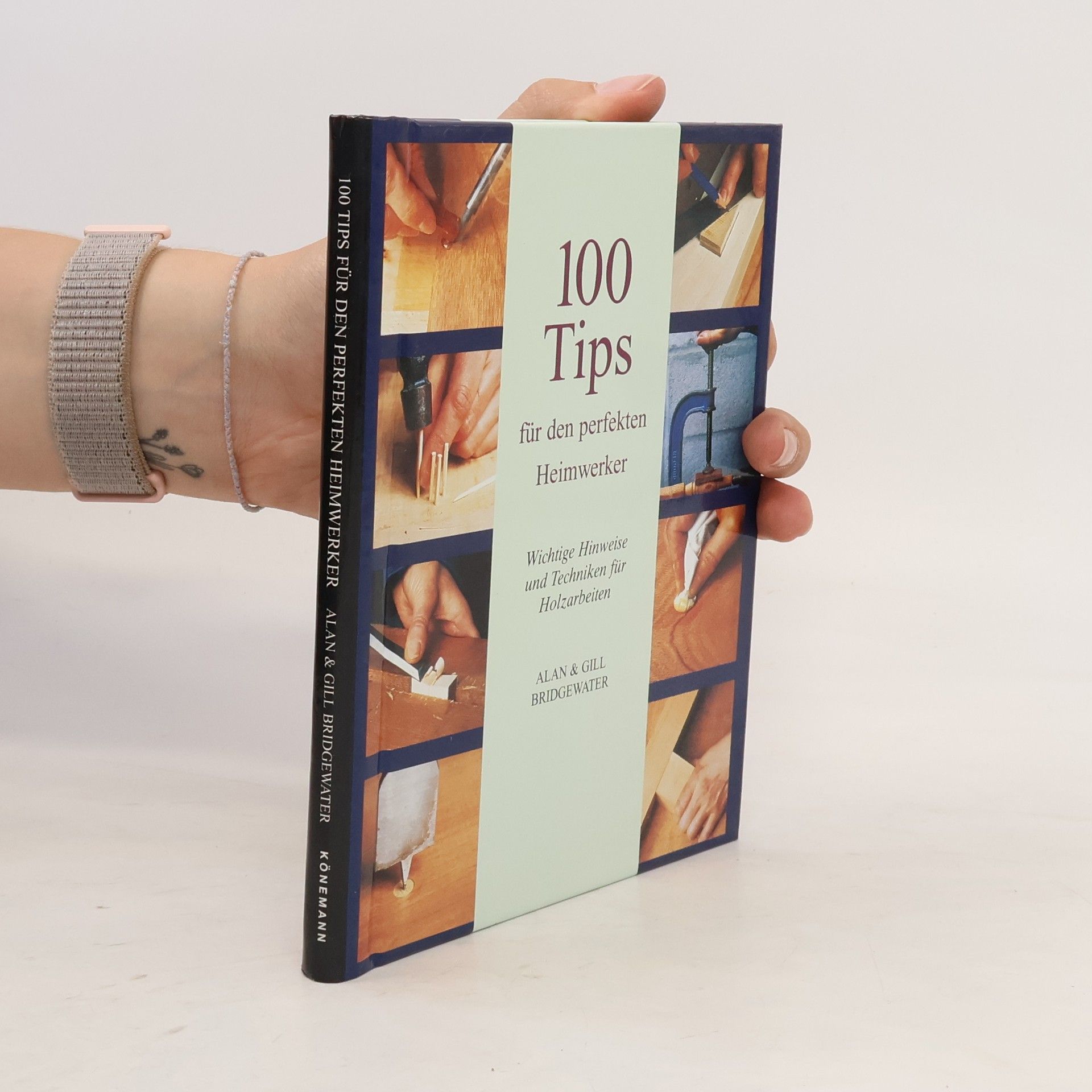 Alan Bridgewater 100 Tips für den perfekten Heimwerker