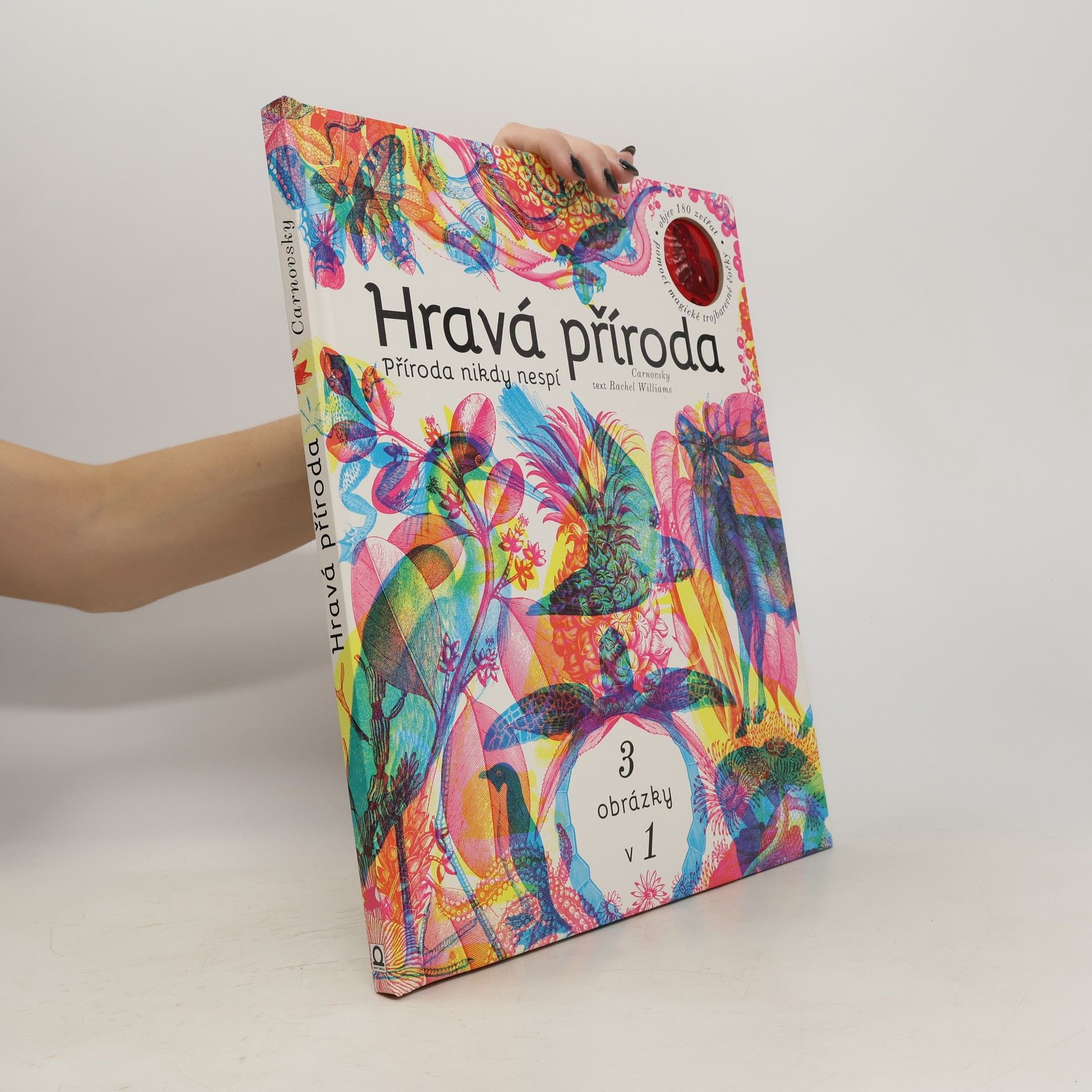 Rachel Williams Hravá příroda - Příroda nikdy nespí