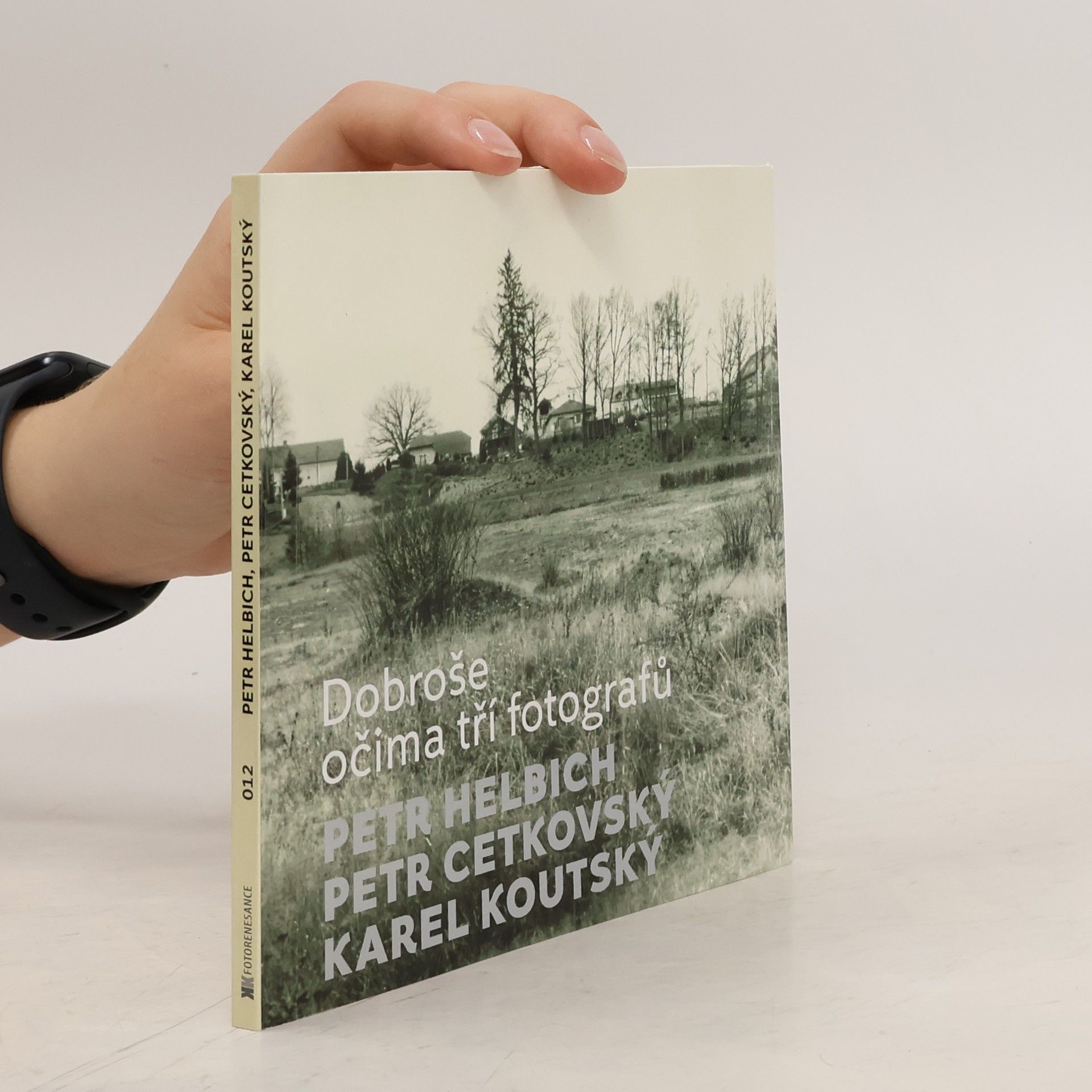 Various authors Petr Helbich, Petr Cetkovský, Karel Koutský