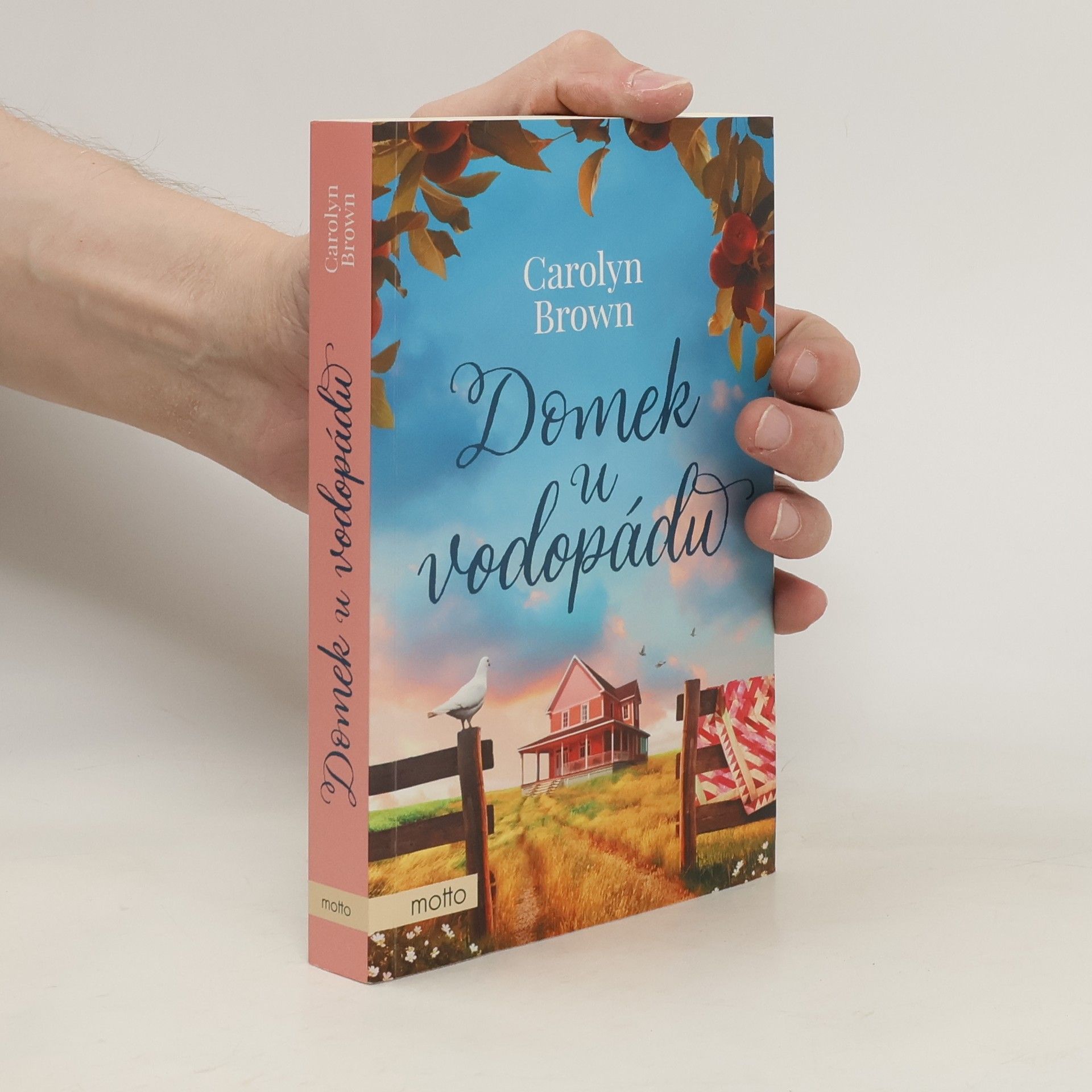 Carolyn Brown Domek u vodopádu