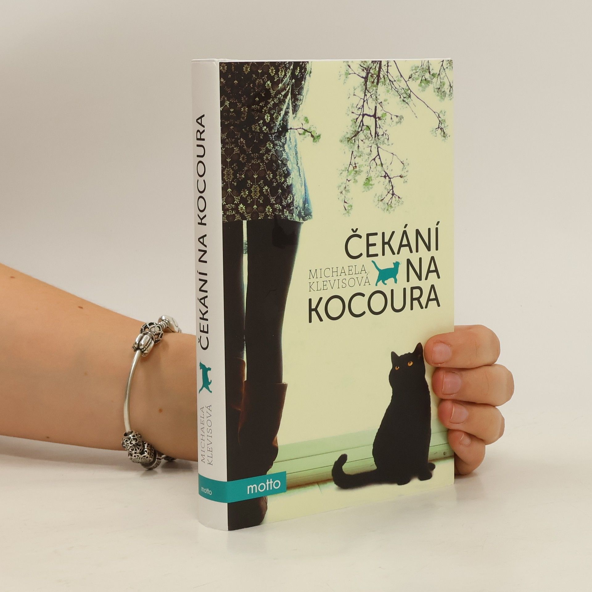 Michaela Klevisová Čekání na kocoura: příběhy o kočkách a jejich lidech