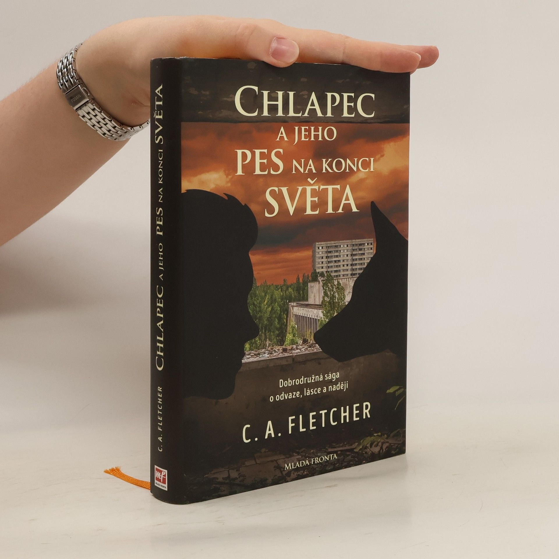 Charlie Fletcher Chlapec a jeho pes na konci světa