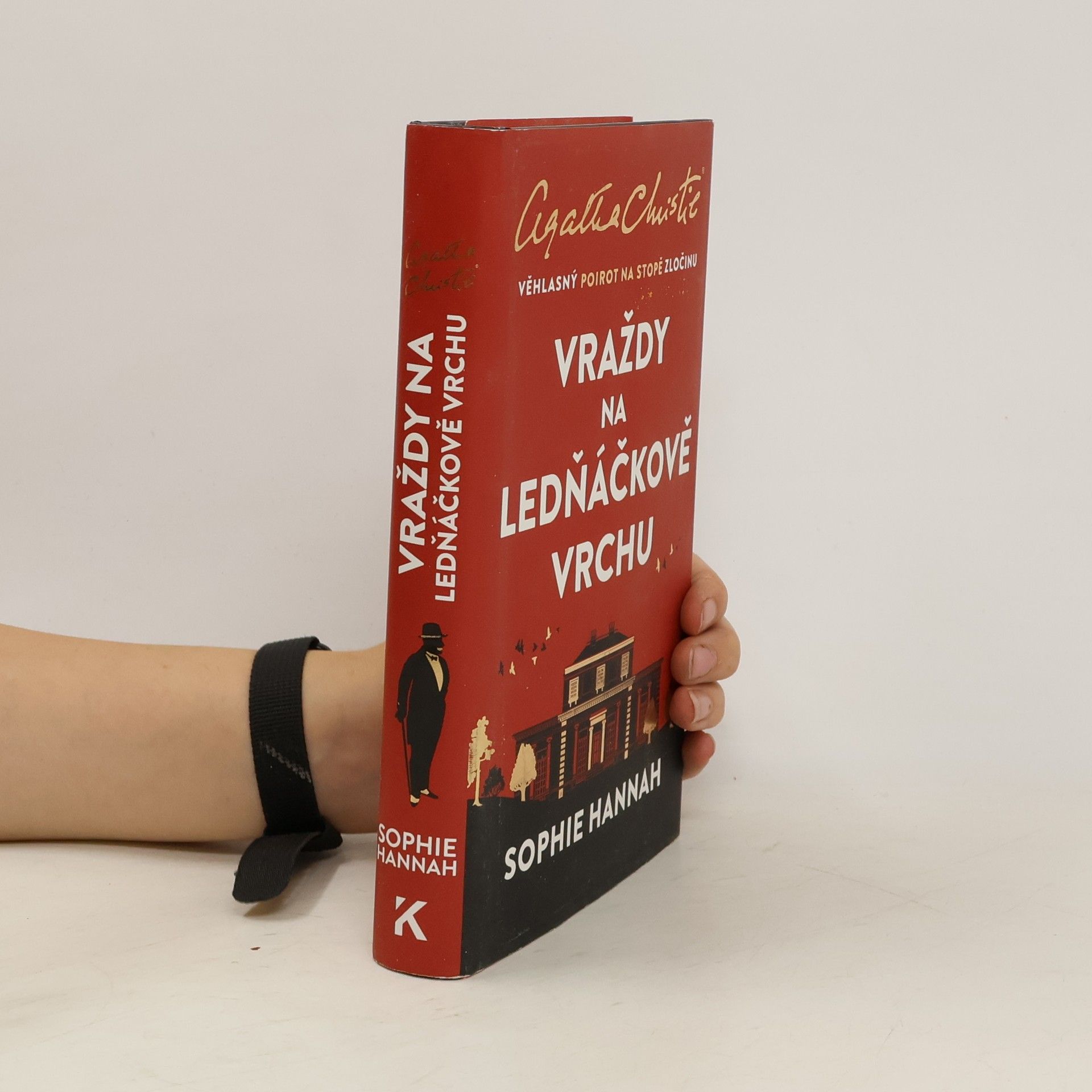 Sophie Hannah Vraždy na Ledňáčkově vrchu