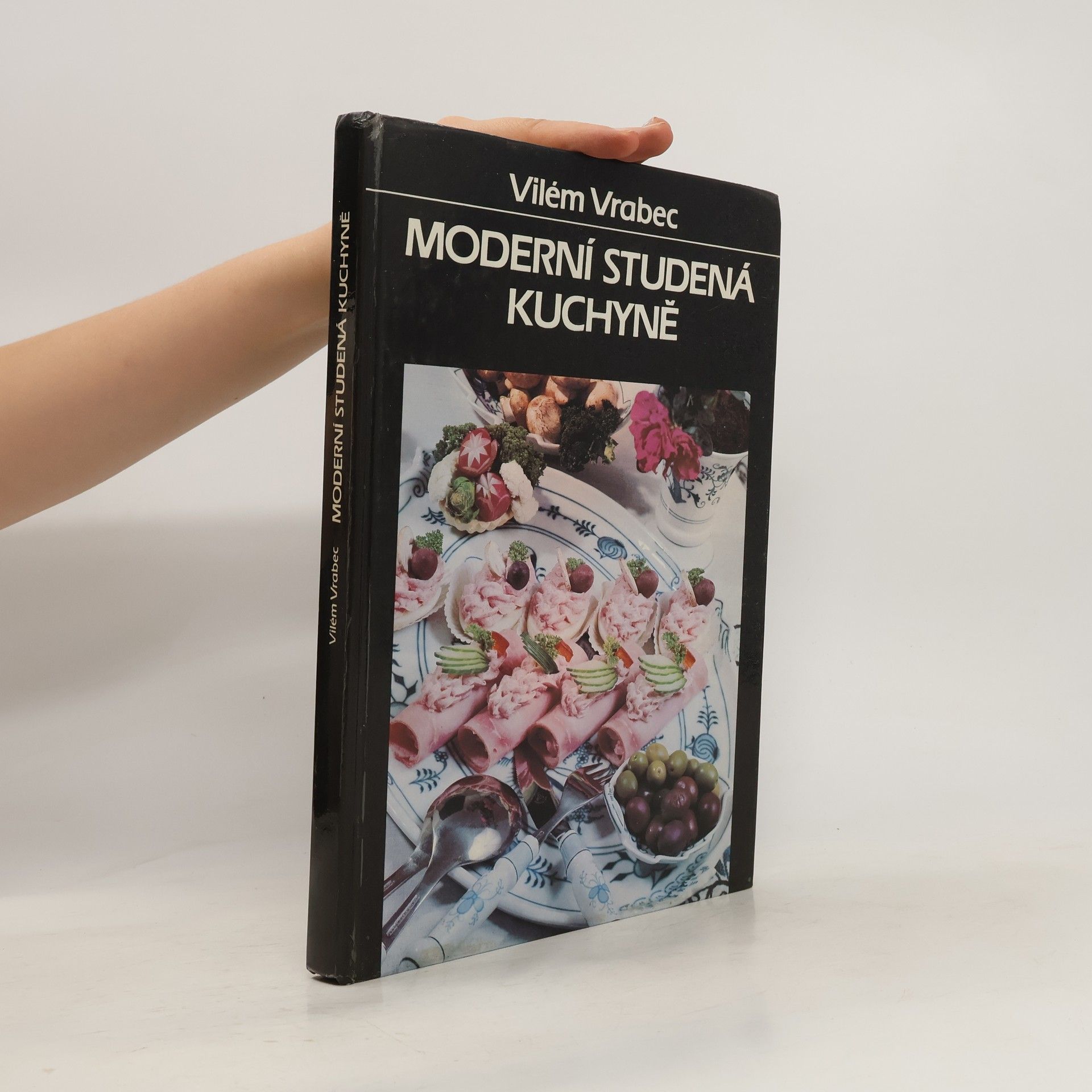 Vilém Vrabec Moderní studená kuchyně