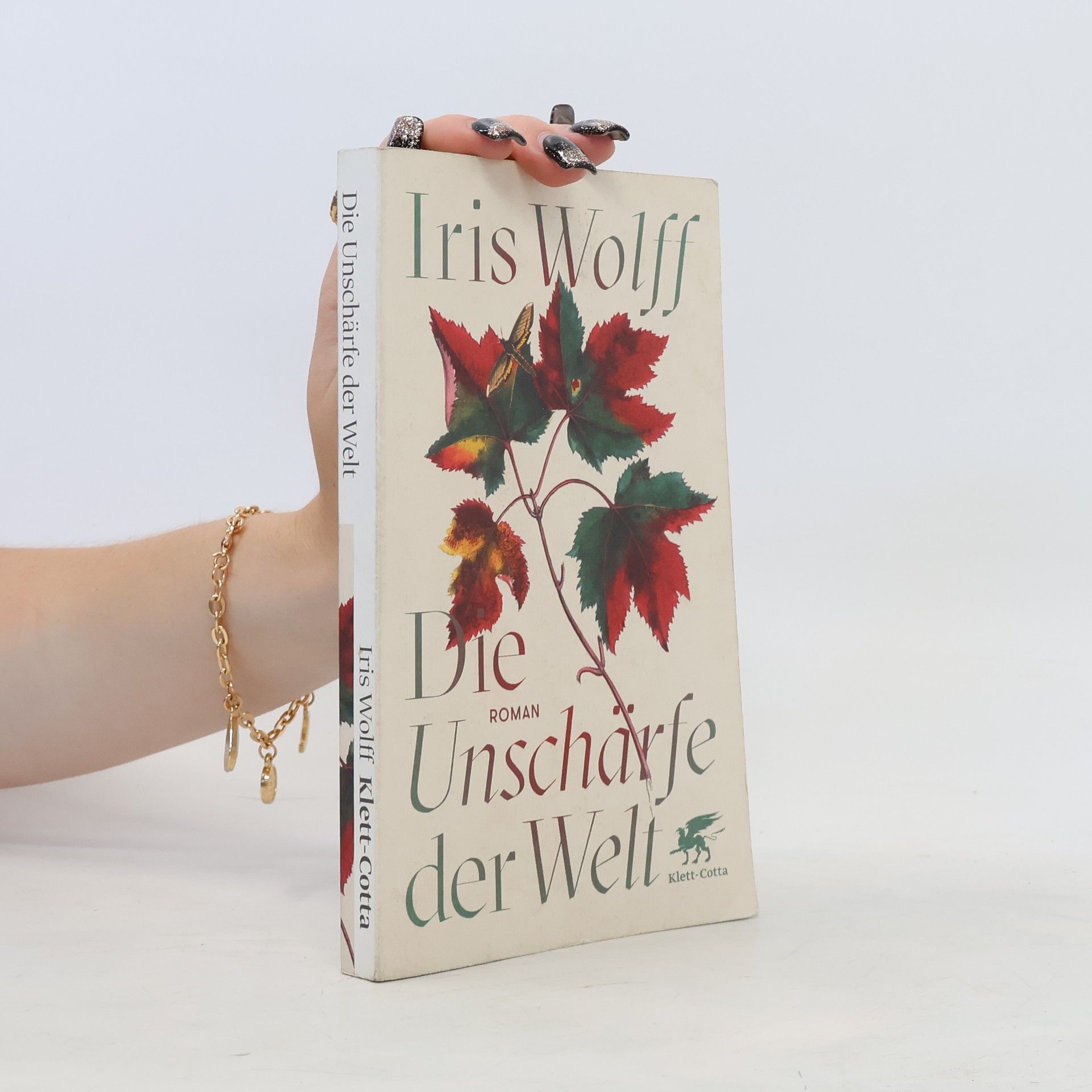 Iris Wolff Die Unschärfe der Welt