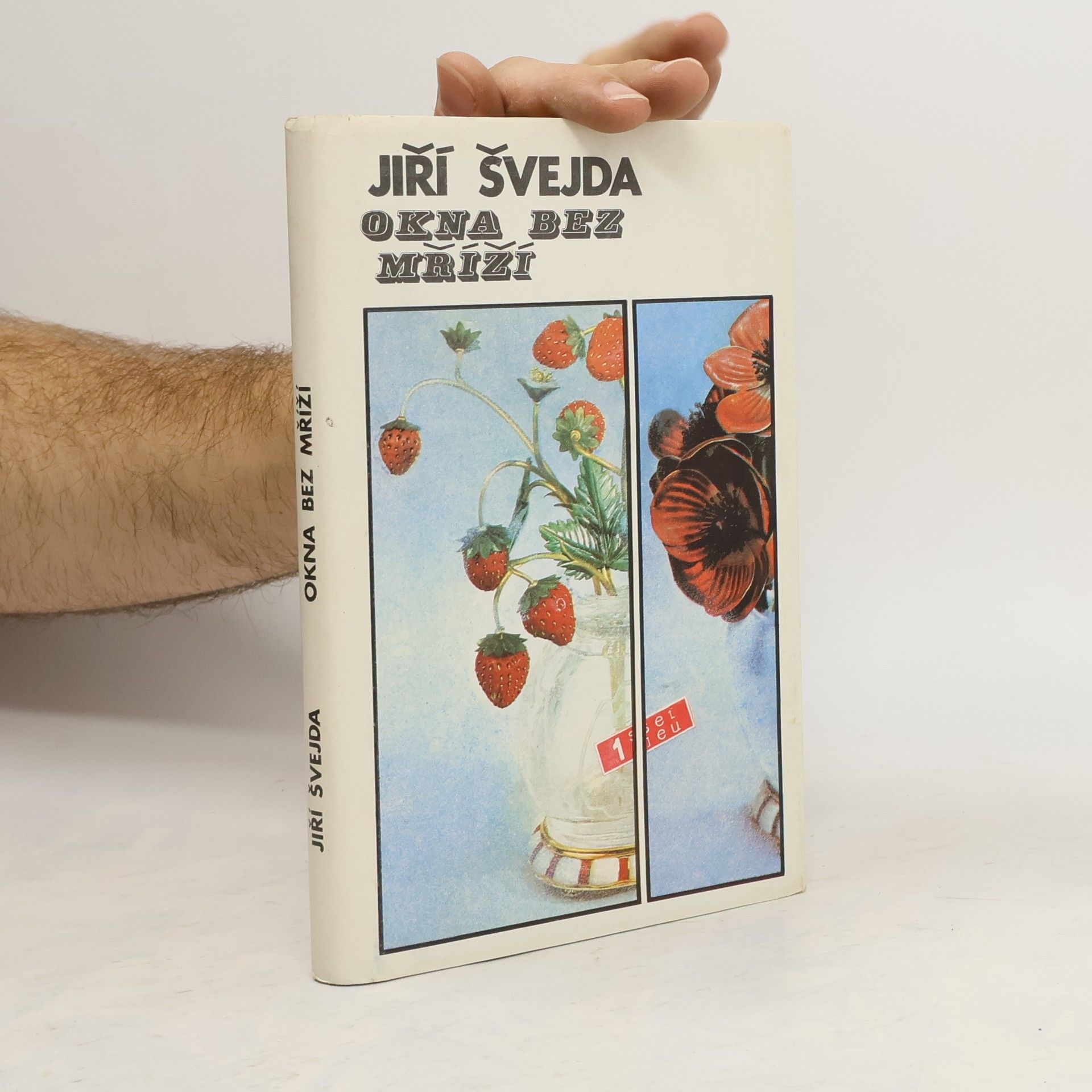 Jiří Švejda Okna bez mříží