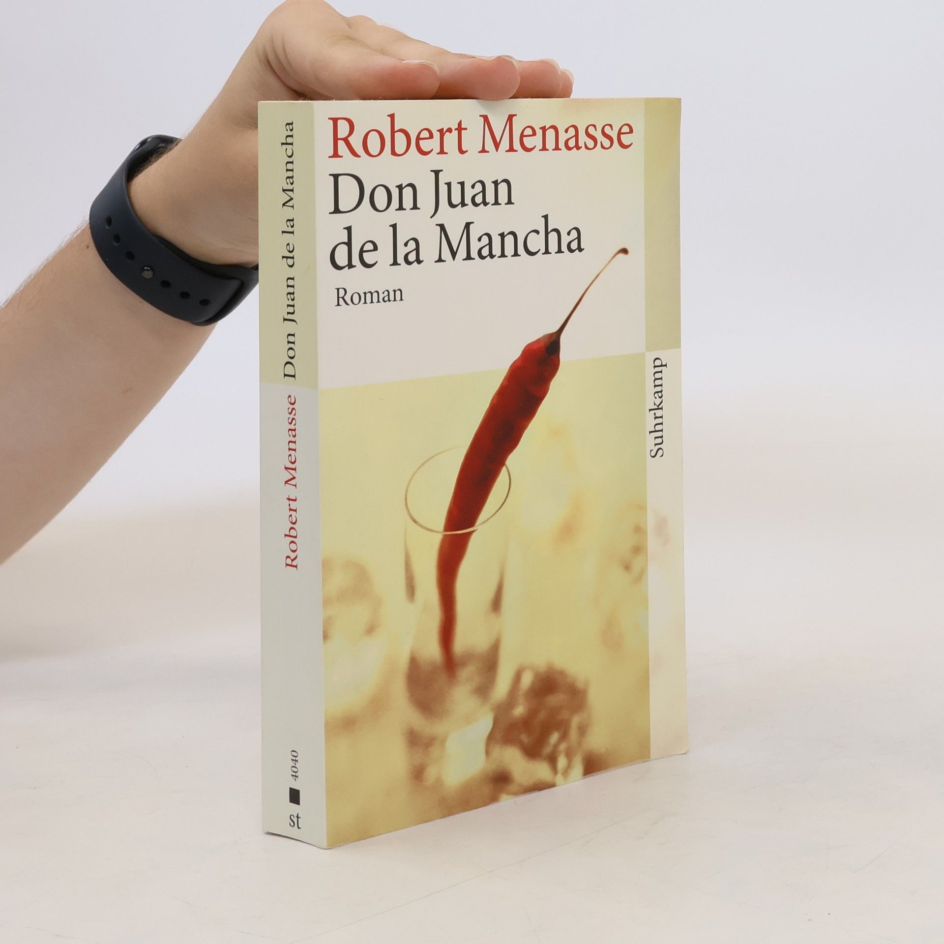 Robert Menasse Don Juan de La Mancha oder Die Erziehung der Lust