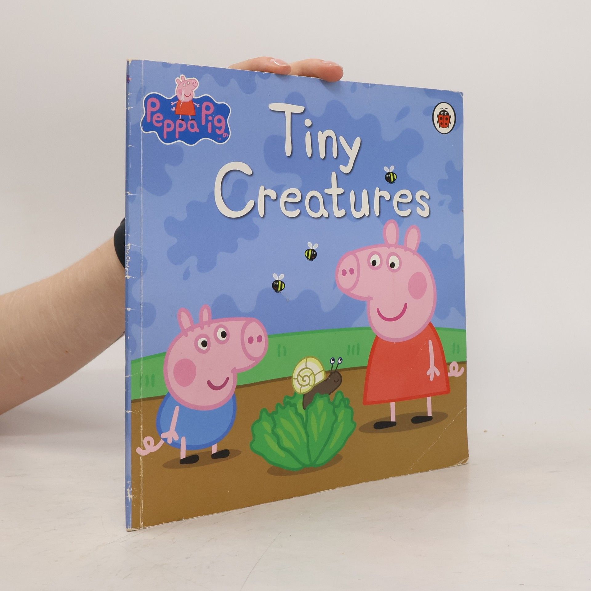 Neville Astley Tiny Creatures