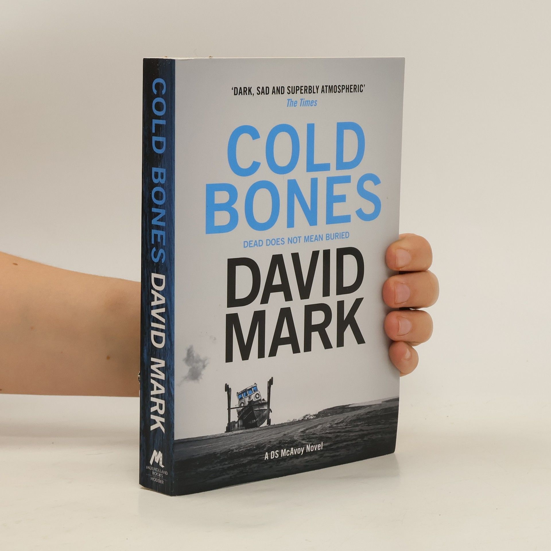 David Mark Cold Bones