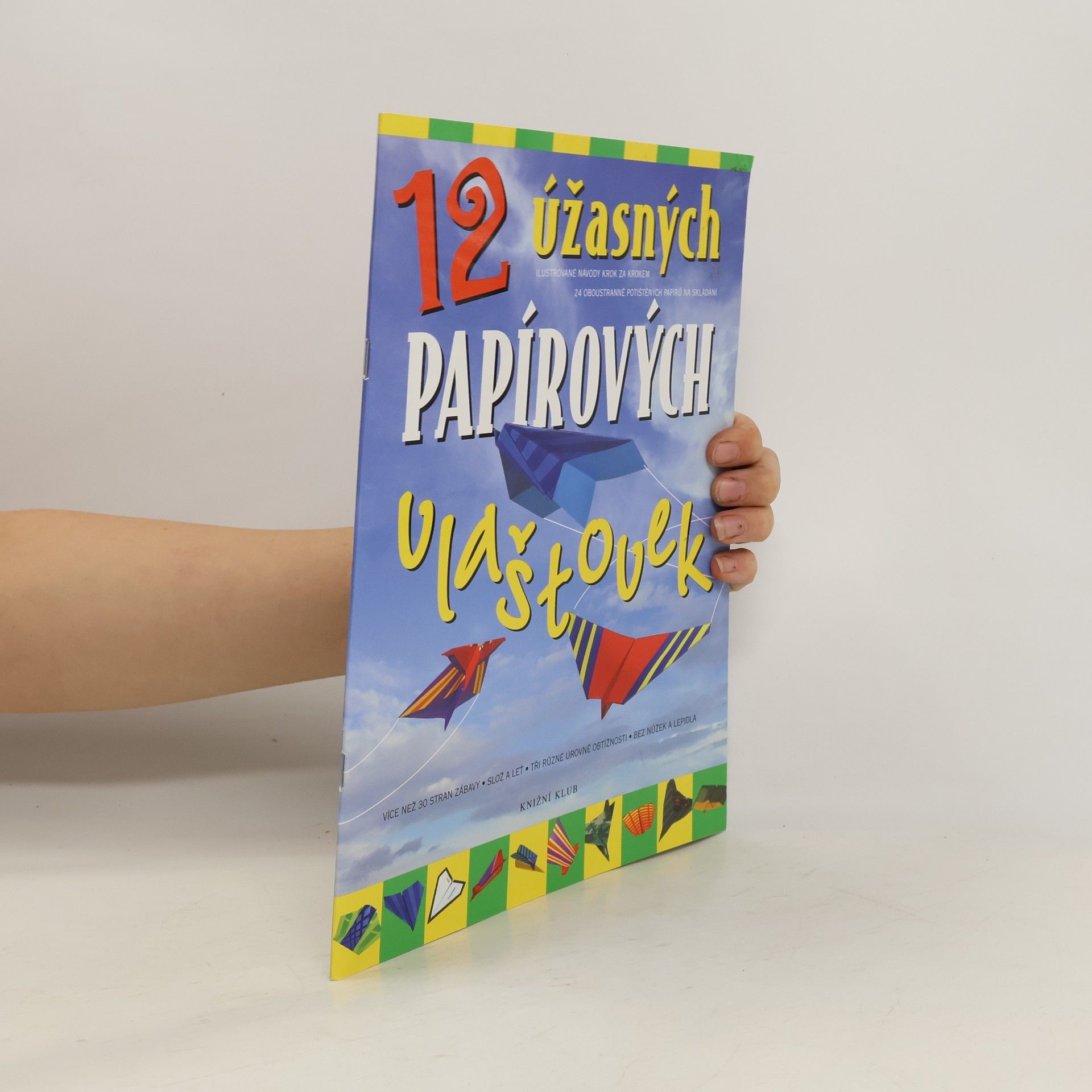 Autorenkollektiv 12 úžasných papírových vlaštovek