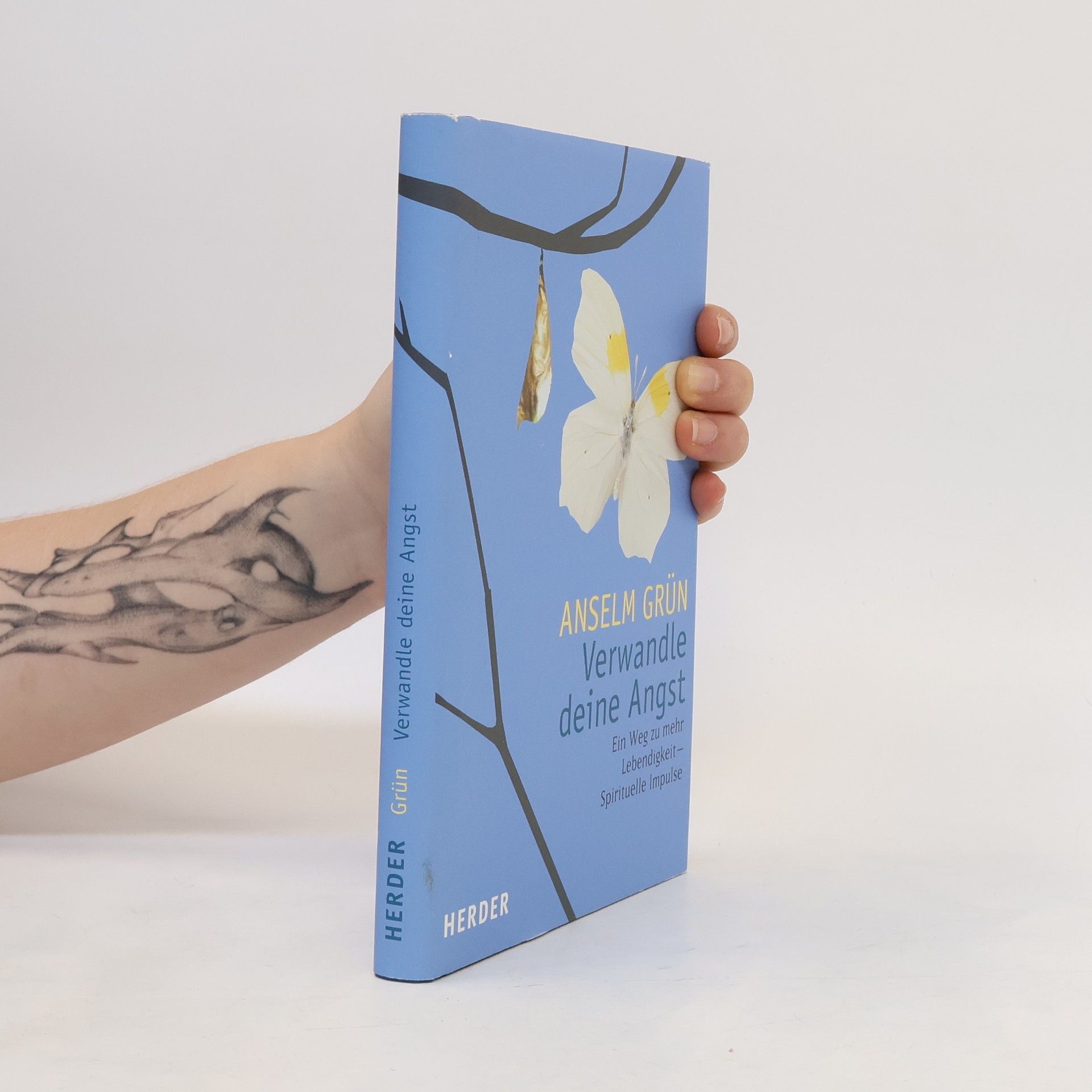 Anselm Grün Verwandle deine Angst