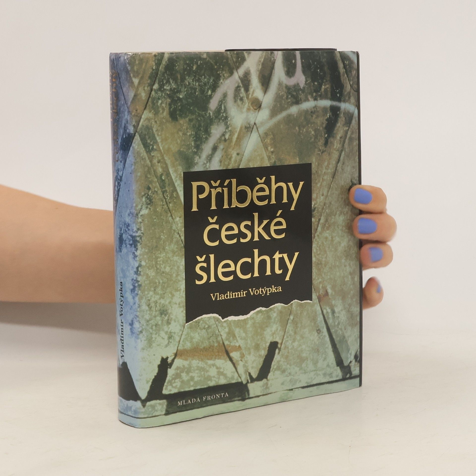 Vladimír Votýpka Příběhy české šlechty