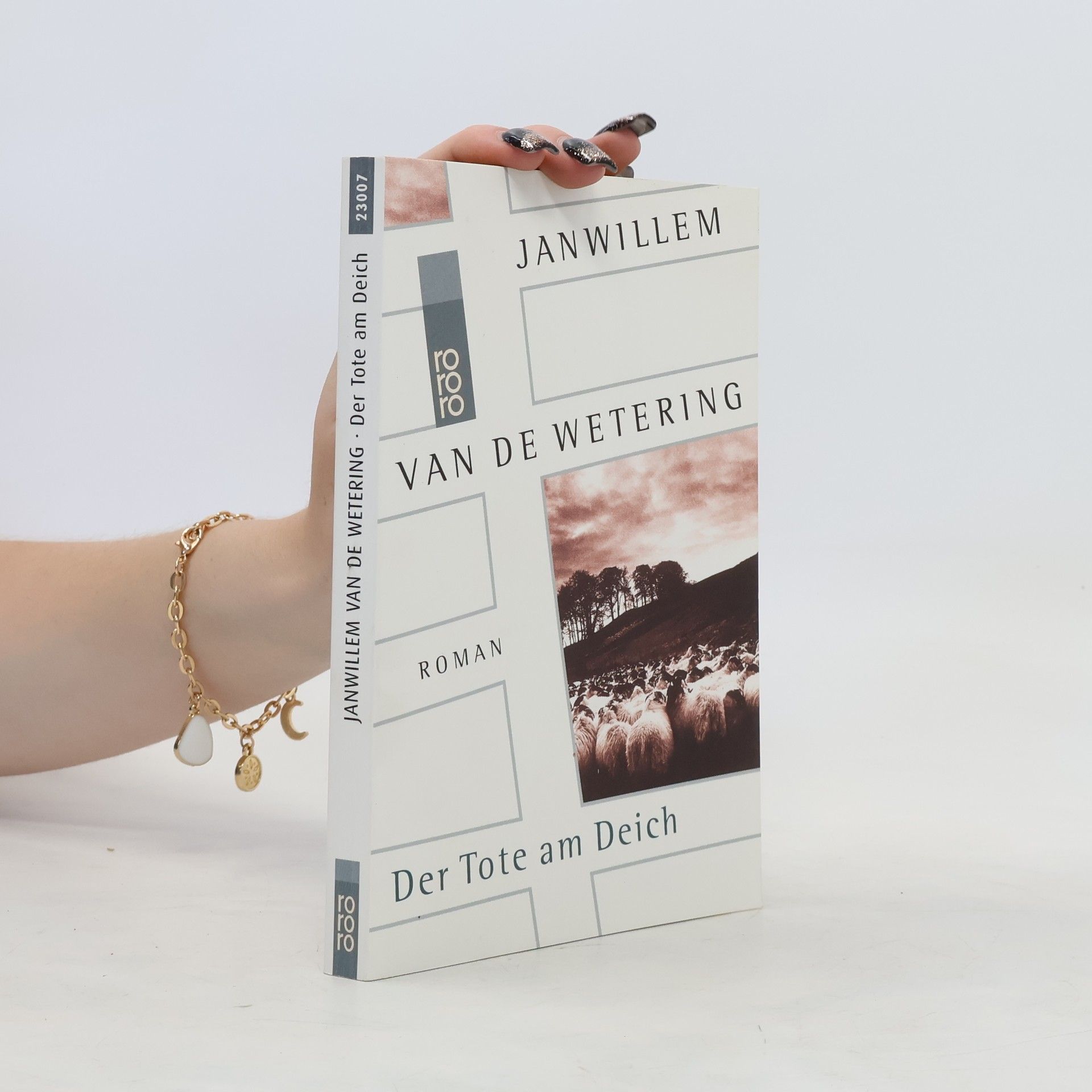 Janwillem van de Wetering Der Tote am Deich