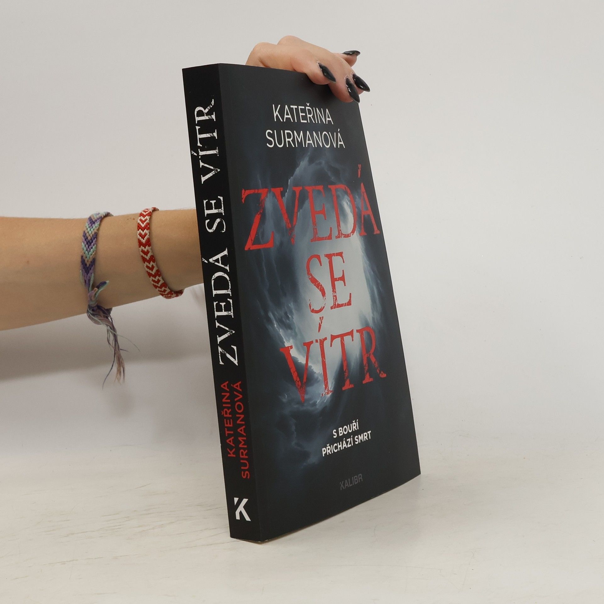 Kateřina Surmanová Zvedá se vítr
