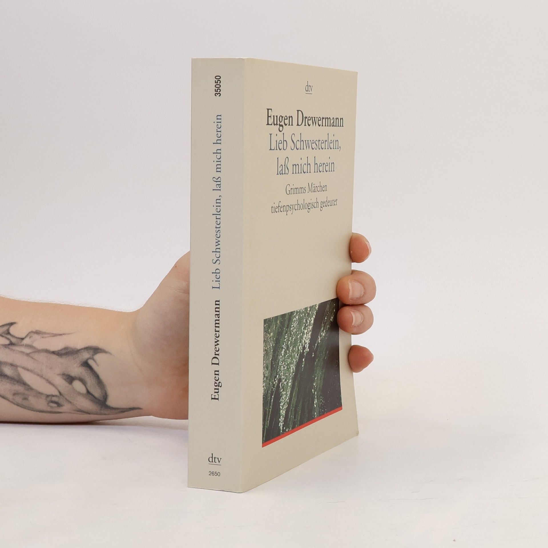 Eugen Drewermann Lieb Schwesterlein, lass mich herein