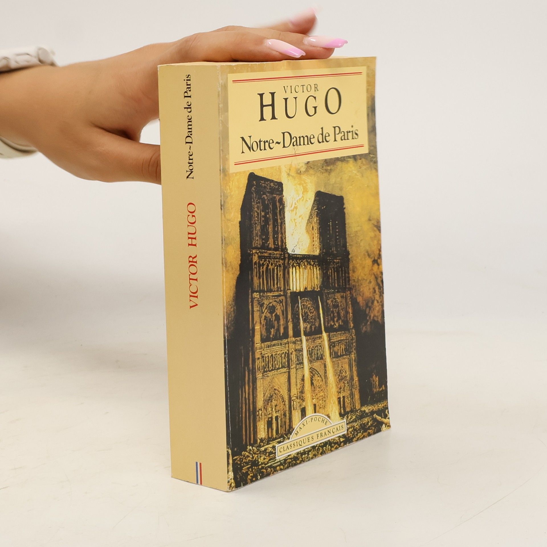 Victor Hugo Notre-Dame de Paris
