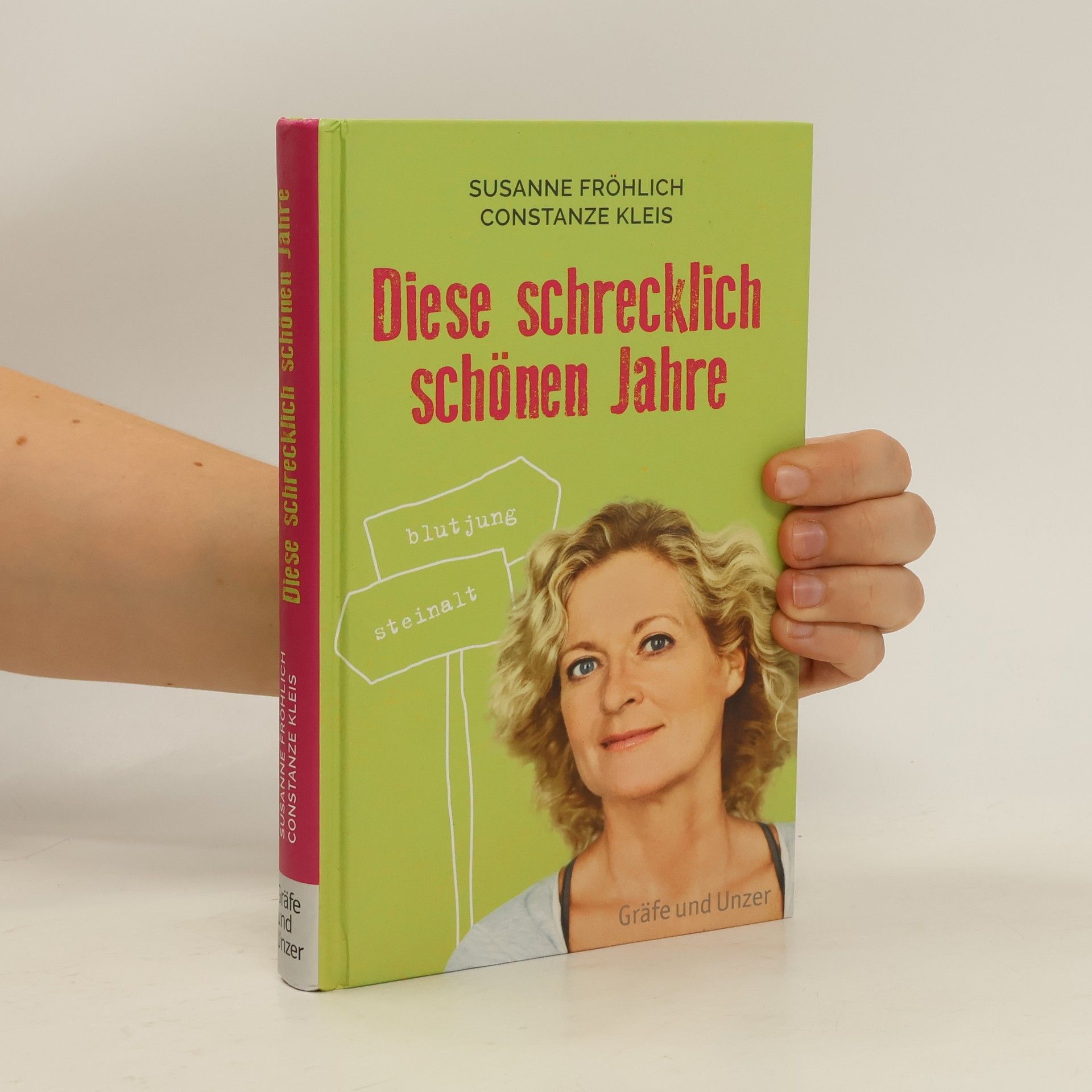 Susanne Fröhlich Diese schrecklich schönen Jahre
