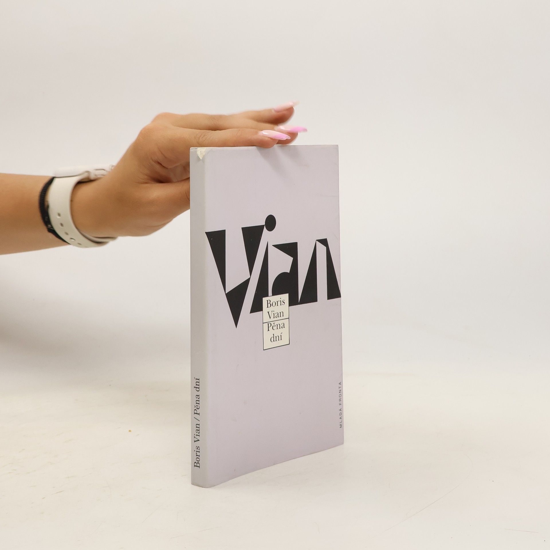 Boris Vian Pěna dní