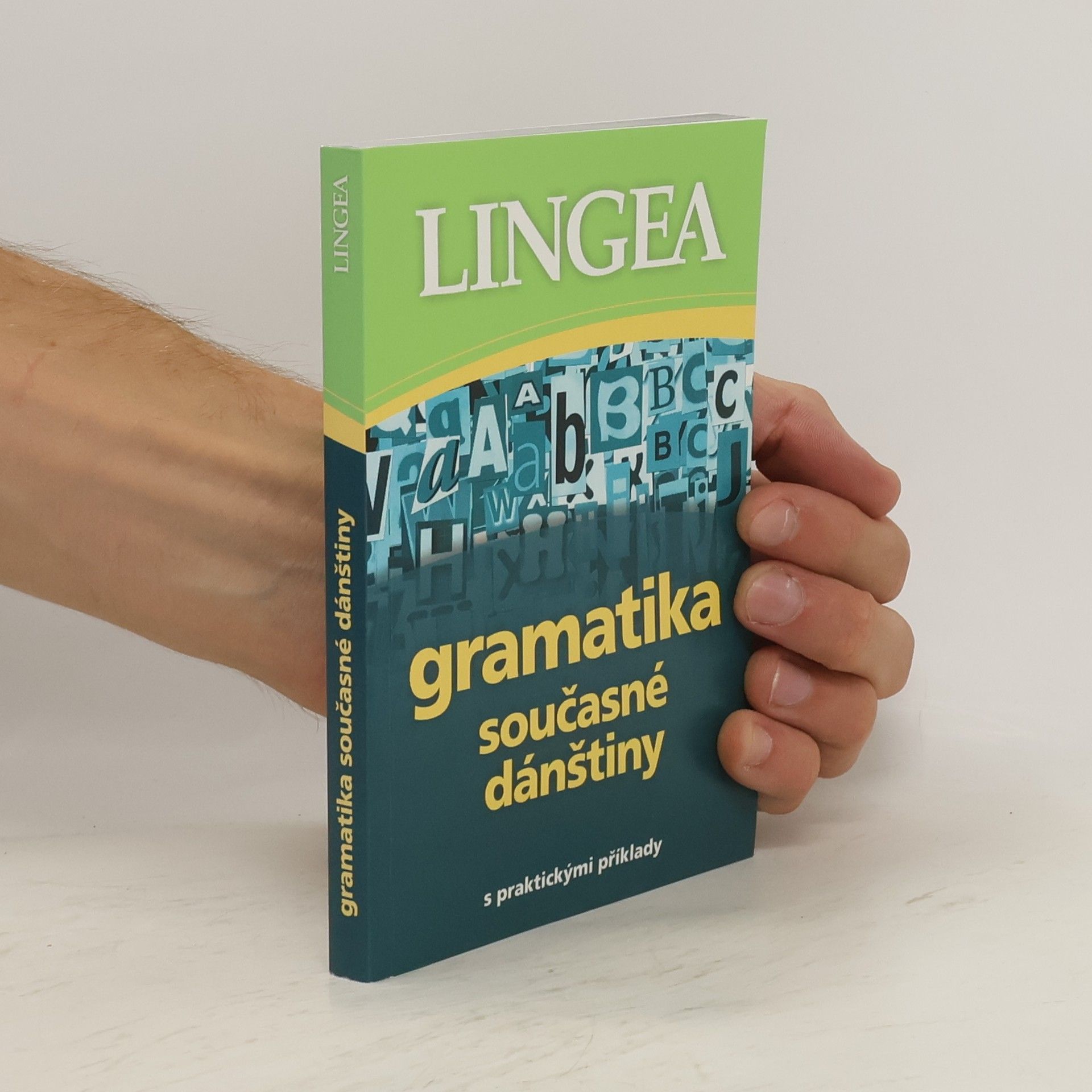 Autorenkollektiv Gramatika současné dánštiny