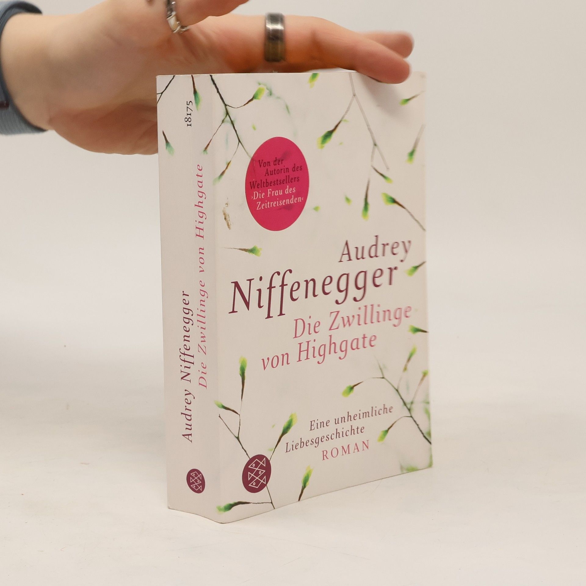 Audrey Niffenegger Die Zwillinge von Highgate