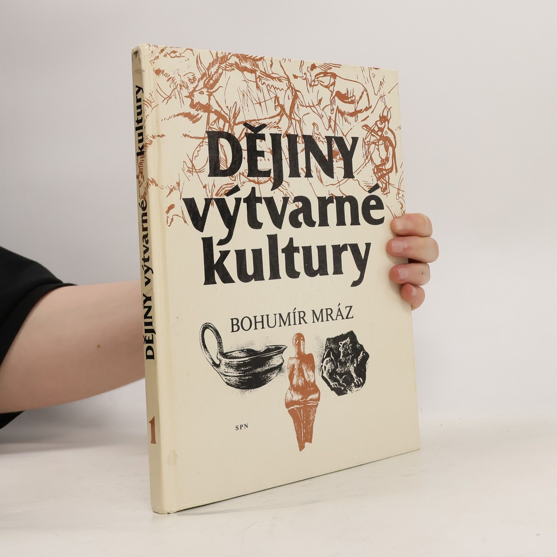 Bohumír Mráz Dejiny výtvarnej kultúry
