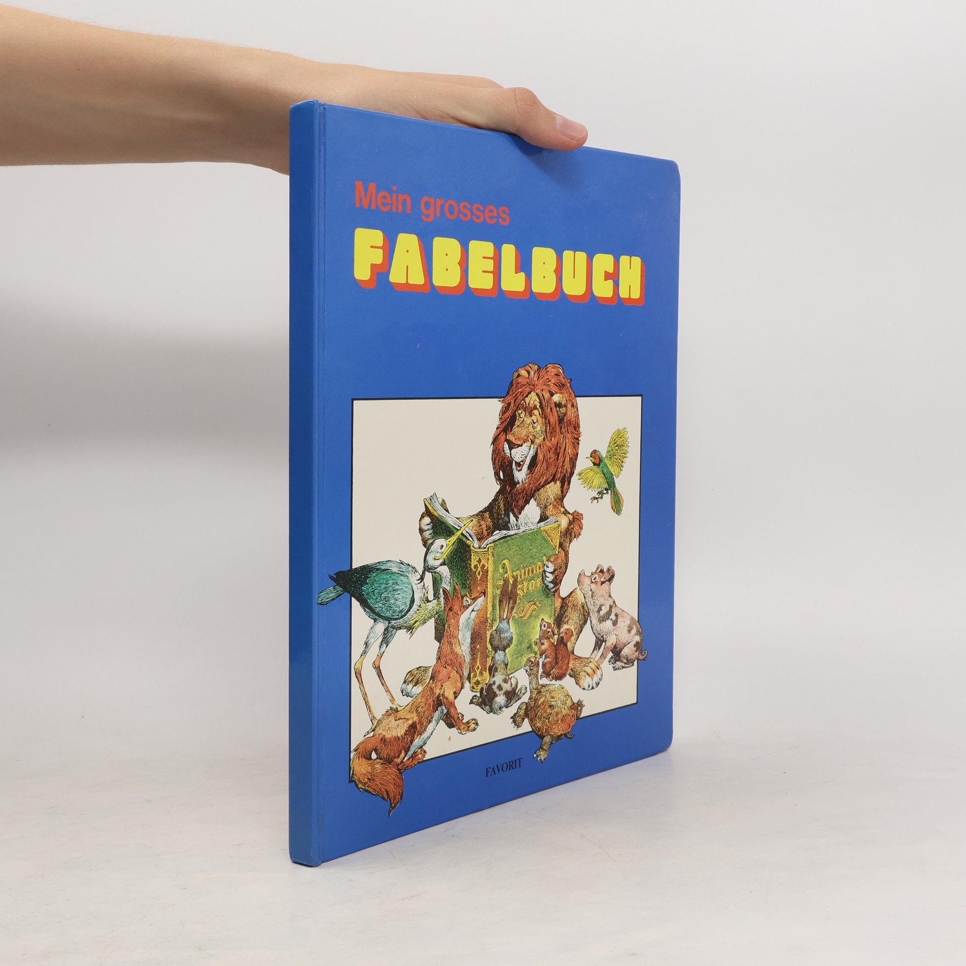 Gertrud Düll Mein grosses Fabelbuch