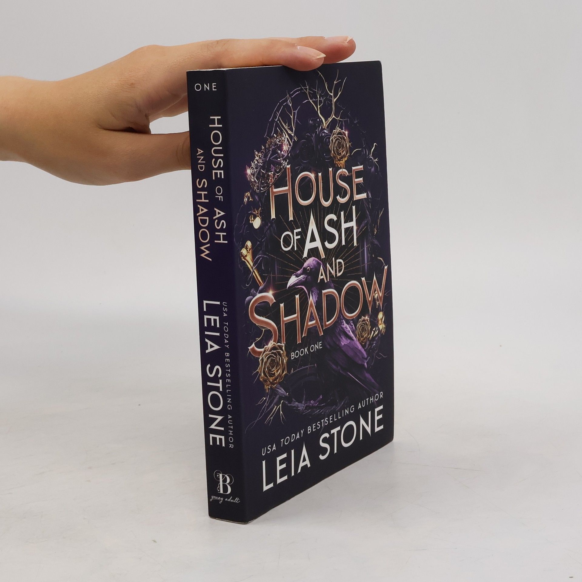 Leia Stone House of Ash and Shadow
