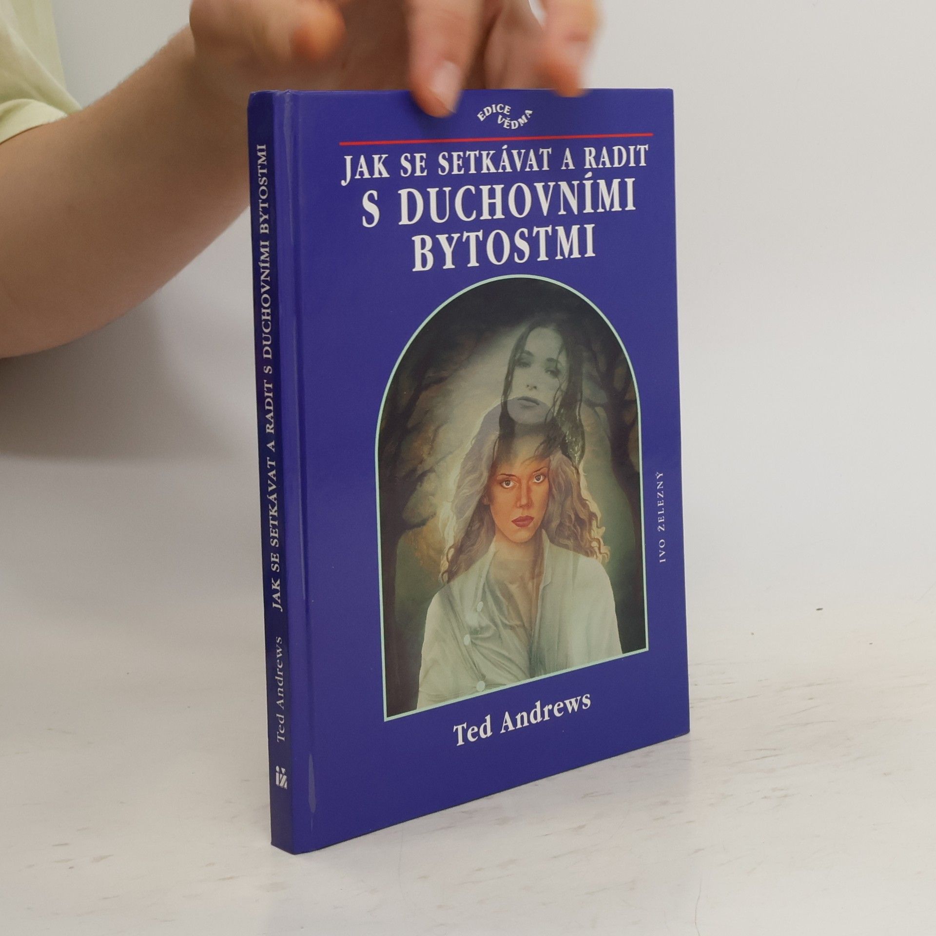Ted Andrews Jak se setkávat a radit s duchovními bytostmi