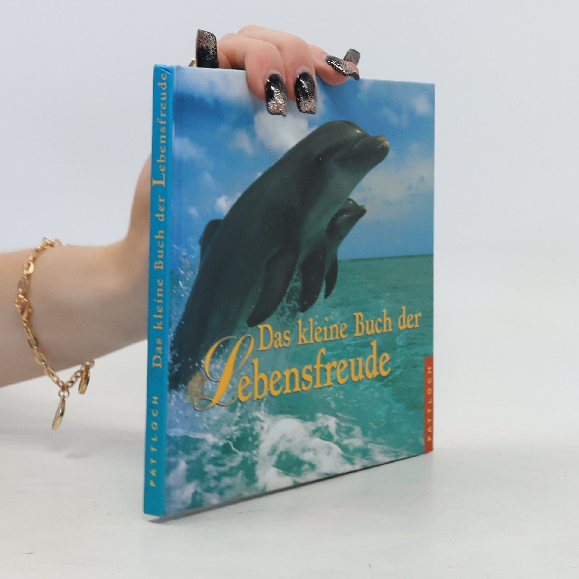 Daniela Meyer Das kleine Buch der Lebensfreude