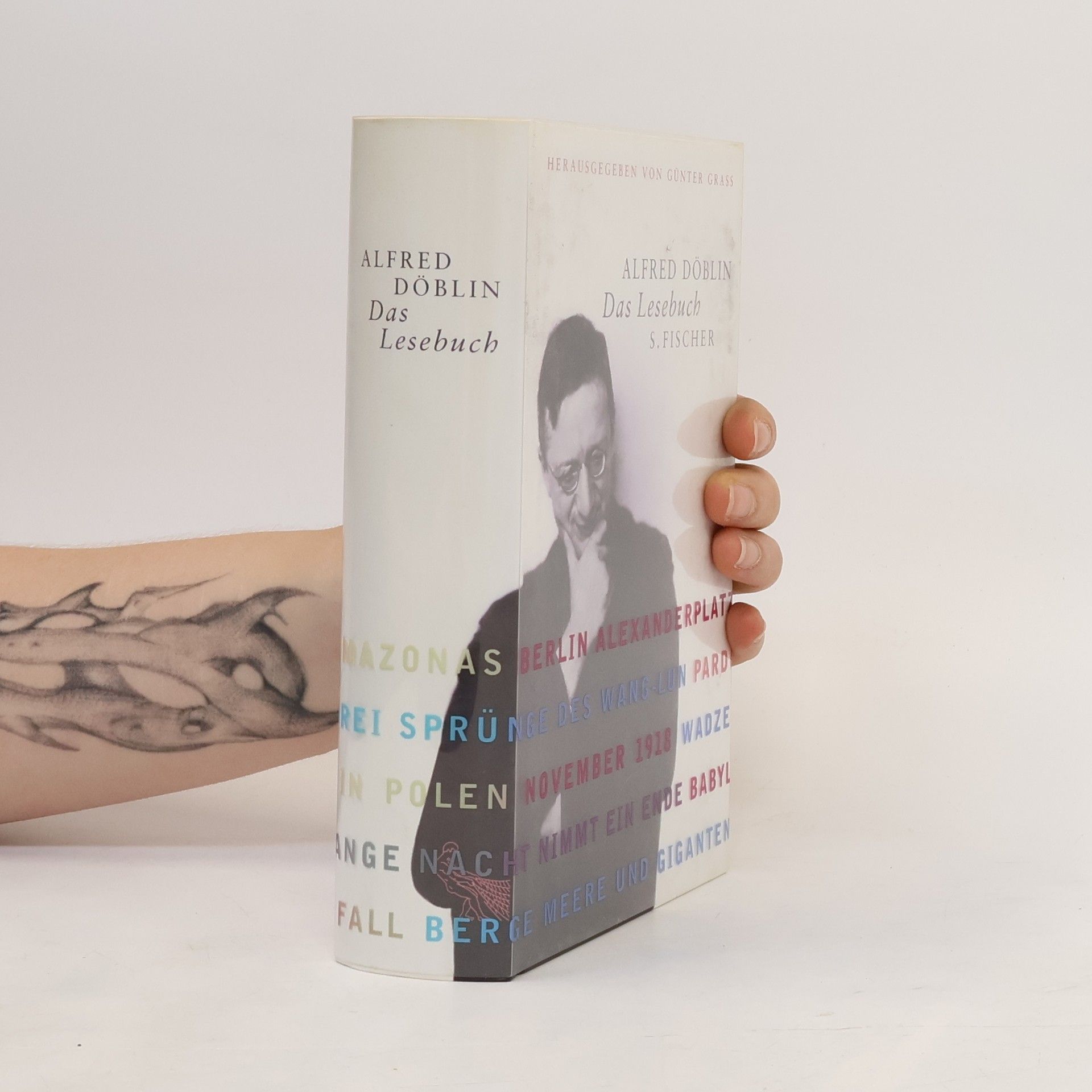 Alfred Döblin Das Lesebuch