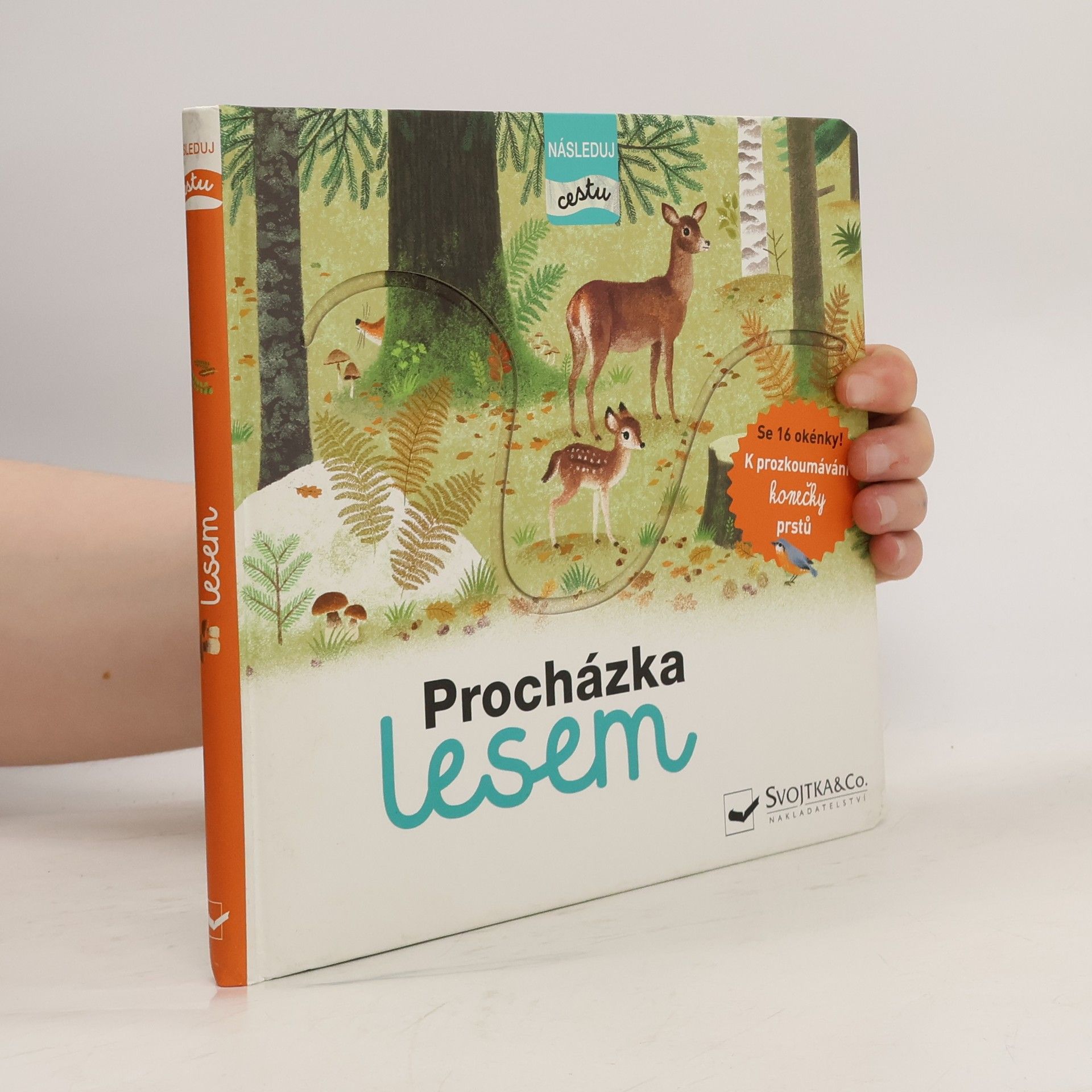 Tereza Fraňková Procházka lesem