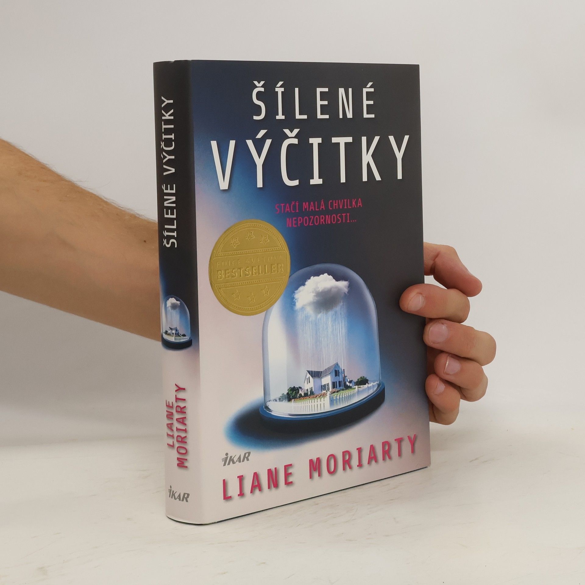 Liane Moriarty Šílené výčitky