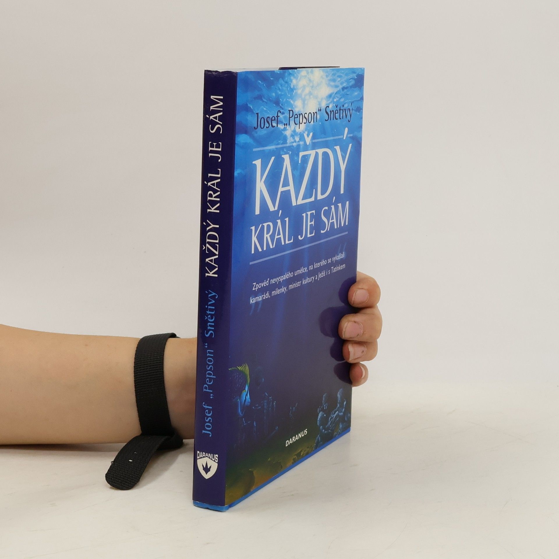 Josef Snětivý Každý král je sám : zpověď nevyspalého umělce, na kterého se vykašlali kamarádi, milenky, ministr kultury a Ježíš i s Tatínkem