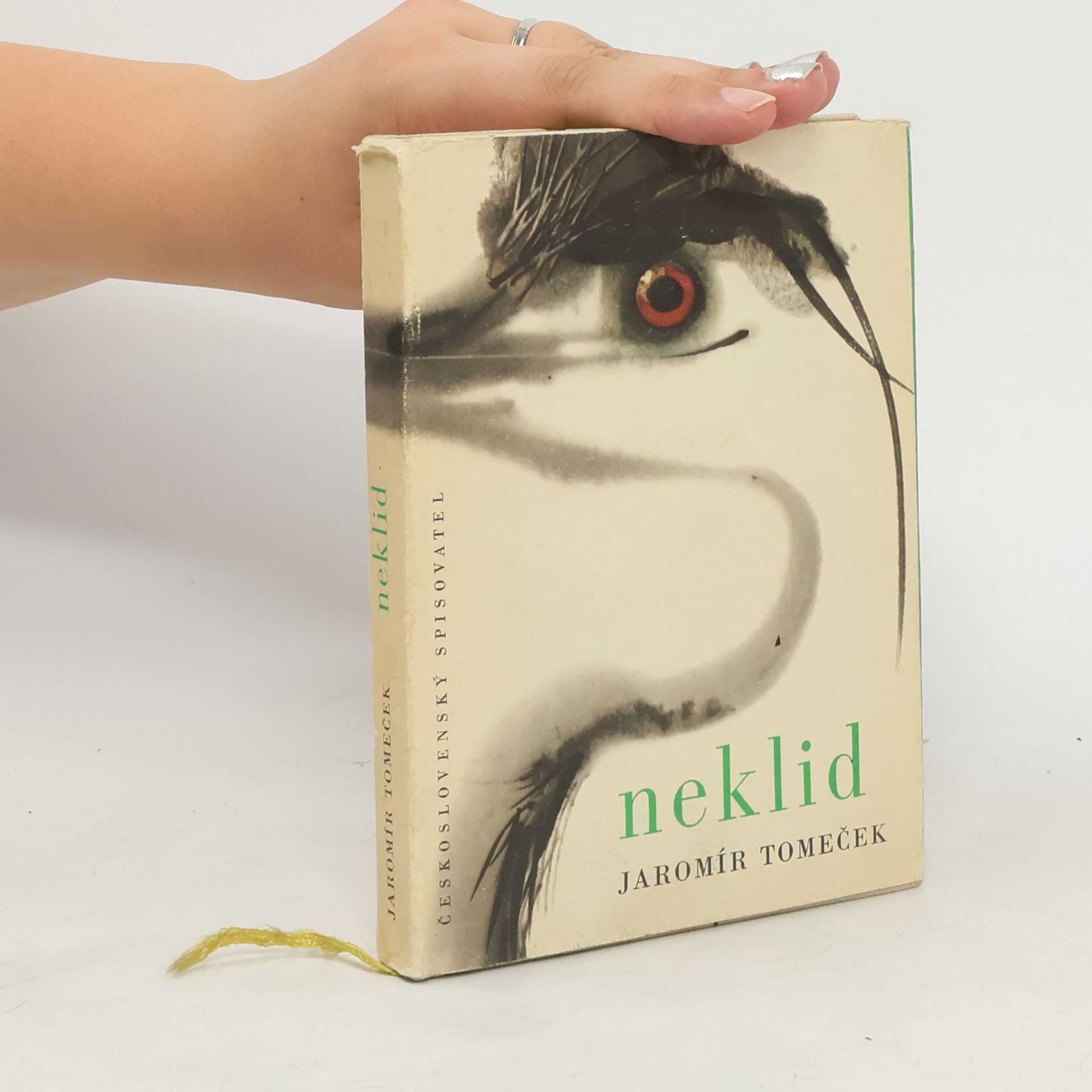 Jaromír Tomeček Neklid