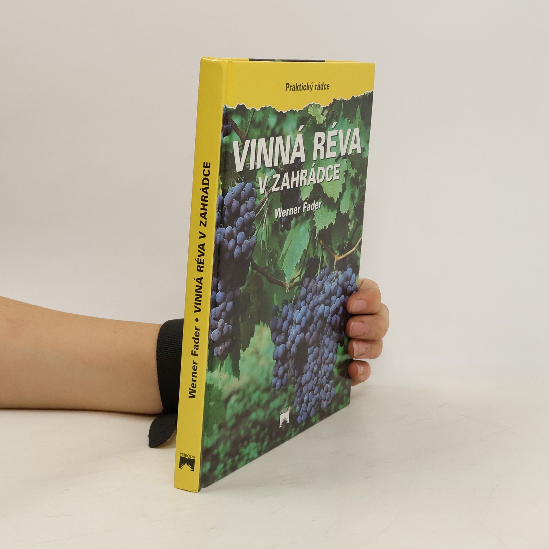 Werner Fader Vinná réva v zahrádce