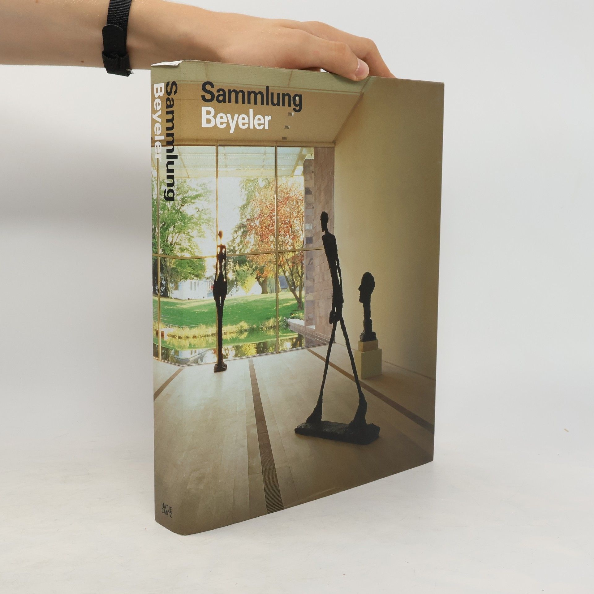 Collective Sammlung Beyeler