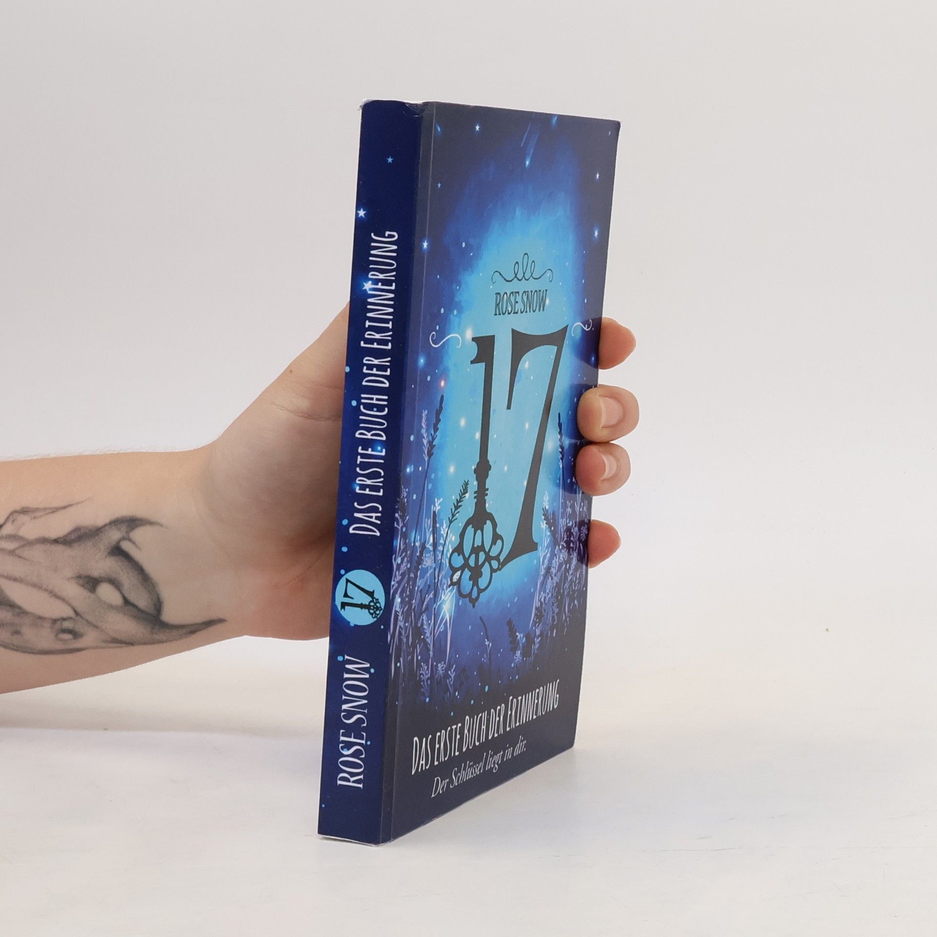 Rosie Snow 17 - das Erste Buch der Erinnerung