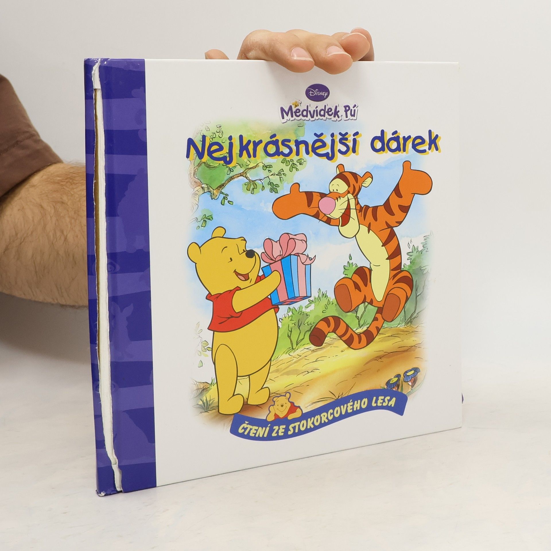 Walt Disney Medvídek Pú - Nejkrásnější dárek