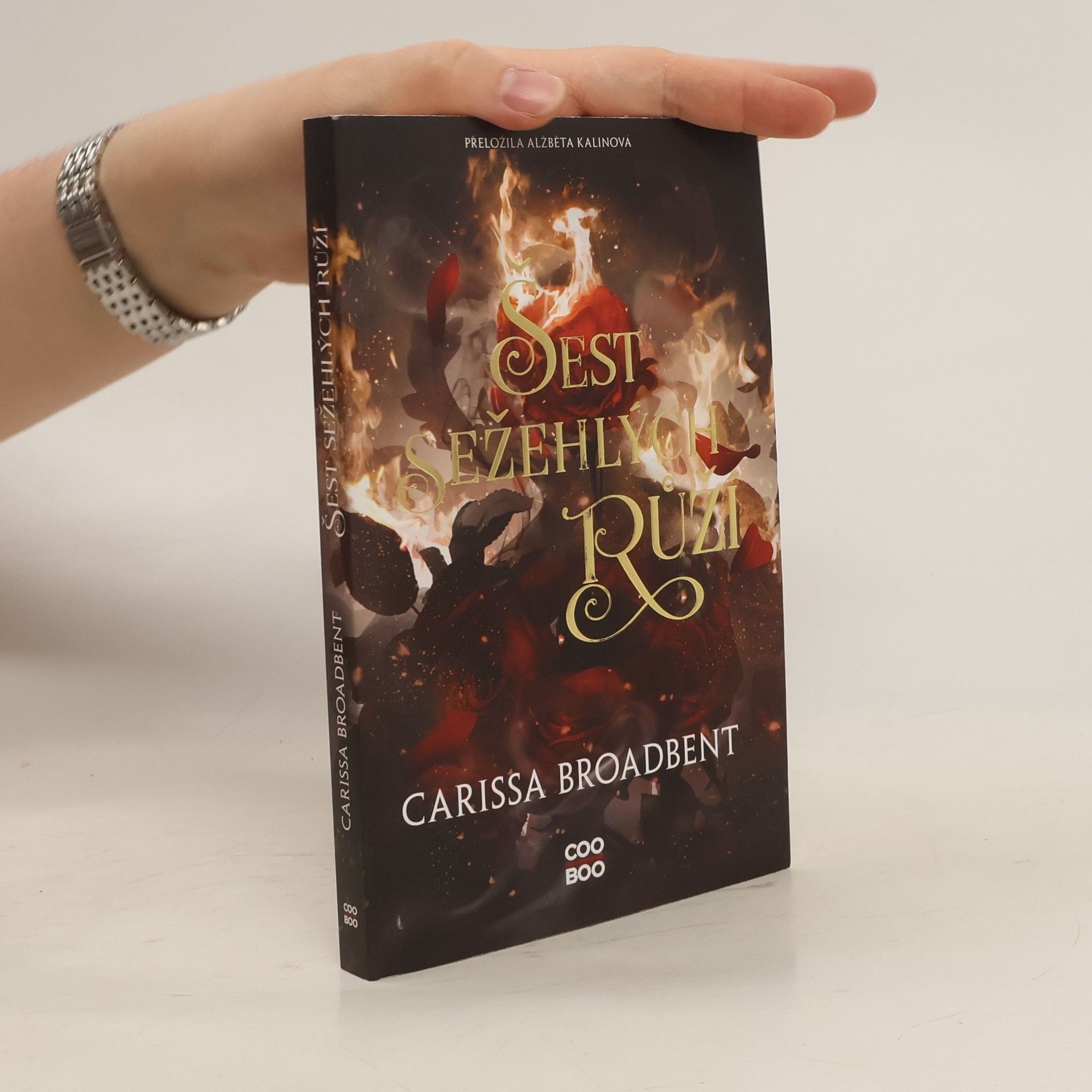 Carissa Broadbent Šest sežehlých růží