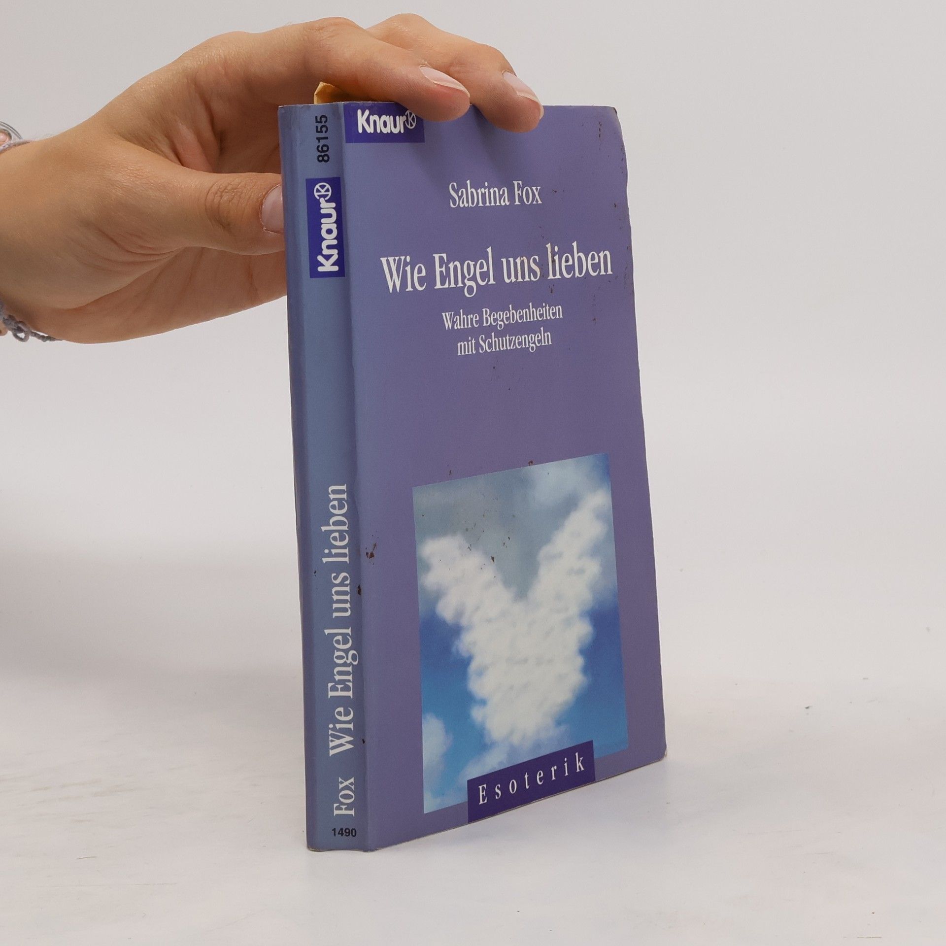 Sabrina Fox Wie Engel uns lieben